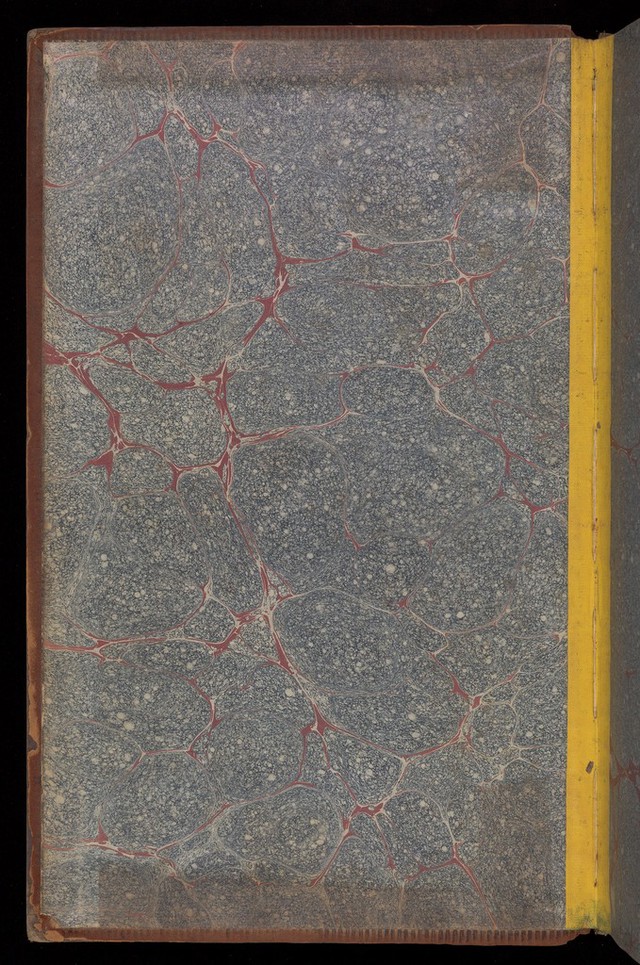 digitised image 2