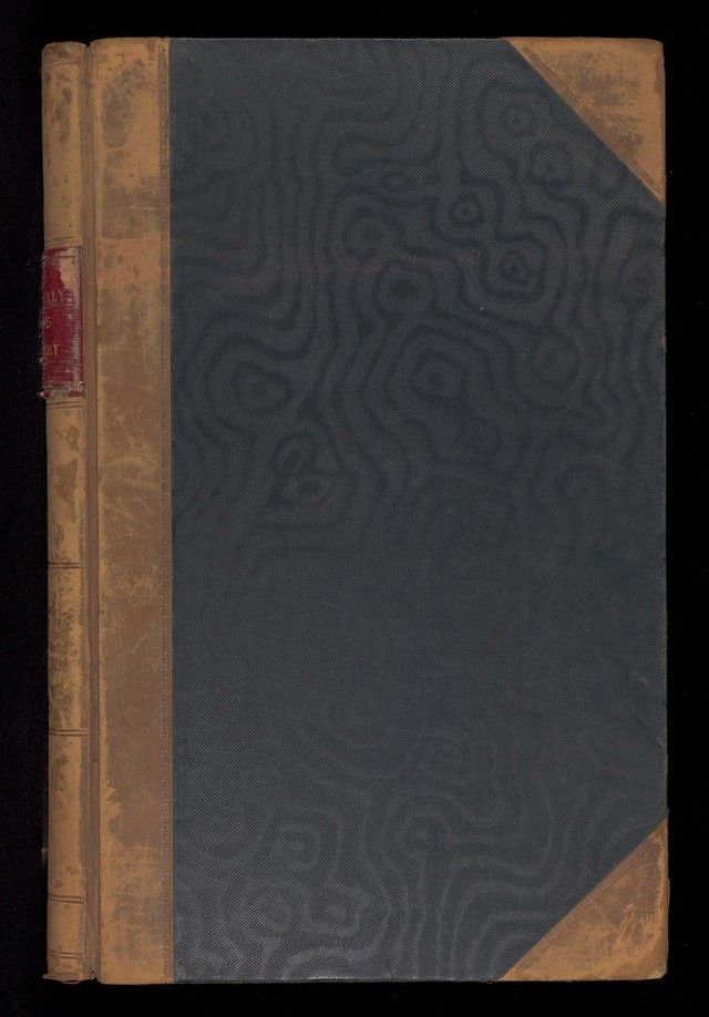 No text description is available for this image