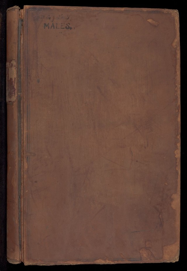 No text description is available for this image