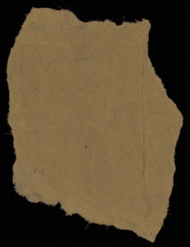 digitised image 2