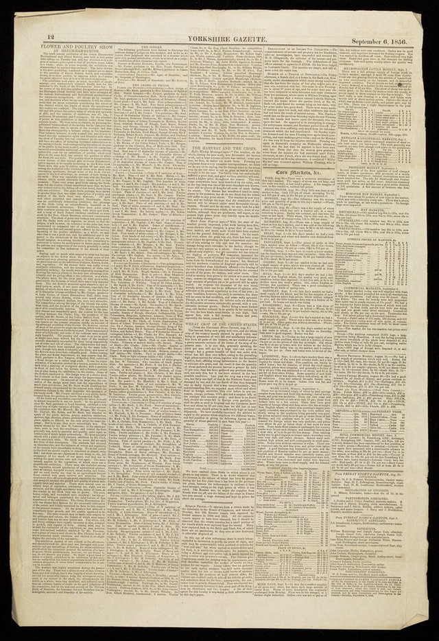 digitised image 3