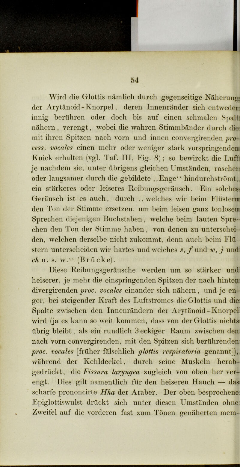 Wird die Glottis nämlich durch gegenseitige Näherung» der Arytänoid - Knorpel, deren Innenränder sich entwedei innig berühren oder doch bis auf einen schmalen Spall nähern , verengt, wobei die wahren Stimmbänder durch die mit ihren Spitzen nach vorn und innen convergirenden pro- cess. vocales einen mehr oder weniger stark vorspringenden Knick erhalten (vgl. Taf. III, Fig. 8); so bewirckt die Luft je nachdem sie, unter übrigens gleichen Umständen, raschei oder langsamer durch die gebildete „Enge“ hindurchströmt, ein stärkeres oder leiseres Reibungsgeräusch. Ein solches' Geräusch ist es auch, durch ,, welches wir beim Flüstern den Ton der Stimme ersetzen, um beim leisen ganz tonlosen Sprechen diejenigen Buchstaben, welche beim lauten Spre- chen den Ton der Stimme haben, von denen zu unterschei- den, welchen derselbe nicht zukommt, denn auch beim Flü- stern unterscheiden wir hartes und weiches s, f und w, j und ch u. s. w.“ (Brücke). Diese Reibungsgeräusche werden um so stärker und heiserer, je mehr die einspringenden Spitzen der nach hinten divergirenden proc. vocales einander sich nähern, und je en- ger, bei steigender Kraft des Luftstromes die Glottis und die Spalte zwischen den Innenrändern der Arytänoid - Knorpel wird (ja es kann so weit kommen, dass von der Glottis nichts übrig bleibt, als ein rundlich 3 eckiger Raum zwischen den nach vorn convergirenden, mit den Spitzen sich berührenden proc. vocales [früher fälschlich glottis respiratoria genannt]), während der Kehldeckel, durch seine Muskeln herab- gedrückt , die Fissura laryngea zugleich von oben her ver- engt. Dies gilt namentlich für den heiseren Hauch — das scharfe prononcirte Hha der Araber. Der oben besprochene Epiglottiswulst drückt sich unter diesen Umständen ohne Zweifel auf die vorderen fast zum Tönen genäherten mem-