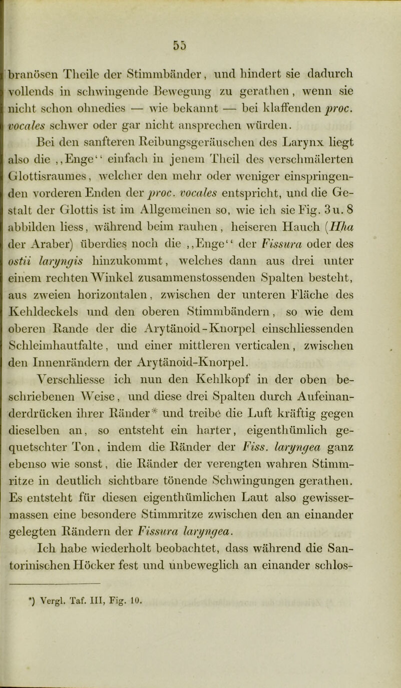 branösen Tlieile der Stimmbänder, und hindert sie dadurch vollends in schwingende Bewegung zu gerathen, wenn sie nicht schon ohnedies — wie bekannt — bei klaffenden proc. vocales schwer oder gar nicht ansprechen würden. Bei den sanfteren Beibungsgeräuschen des Larynx liegt also die „Enge“ einfach in jenem Tlieil des verschmälerten Glottisraumes, welcher den mehr oder weniger einspringen- den vorderen Enden der proc. vocales entspricht, und die Ge- stalt der Glottis ist im Allgemeinen so, wie ich sieEig. 3u. 8 abbilden Hess, während beim rauhen, heiseren Hauch (Hha der Araber) überdies noch die „Enge“ der Fissura oder des ostii laryngis hinzukommt, welches dann aus drei unter einem rechten Winkel zusammenstossenden Spalten besteht, aus zweien horizontalen, zwischen der unteren Fläche des Kehldeckels und den oberen Stimmbändern, so wie dem oberen Bande der die Arytänoid-Knorpel einschliessenden Schleimhautfalte, und einer mittleren verticalen , zwischen den Innenrändern der Arytänoid-Knorpel. Verschliesse ich nun den Kehlkopf in der oben be- schriebenen Weise, und diese drei Spalten durch Aufeinan- derdrücken ihrer Bänder A und treibe die Luft kräftig gegen dieselben an, so entsteht ein harter, eigentliümlich ge- quetschter Ton, indem die Bänder der Fiss. laryngea ganz ebenso wie sonst, die Bänder der verengten wahren Stimm- ritze in deutlich sichtbare tönende Schwingungen gerathen. Es entsteht für diesen eigenthümlichen Laut also gewisser- massen eine besondere Stimmritze zwischen den an einander gelegten Bändern der Fissura laryngea. Ich habe wiederholt beobachtet, dass während die San- torinischen Höcker fest und unbeweglich an einander sclilos- *) Vergl. Taf. III, Fig. 10.