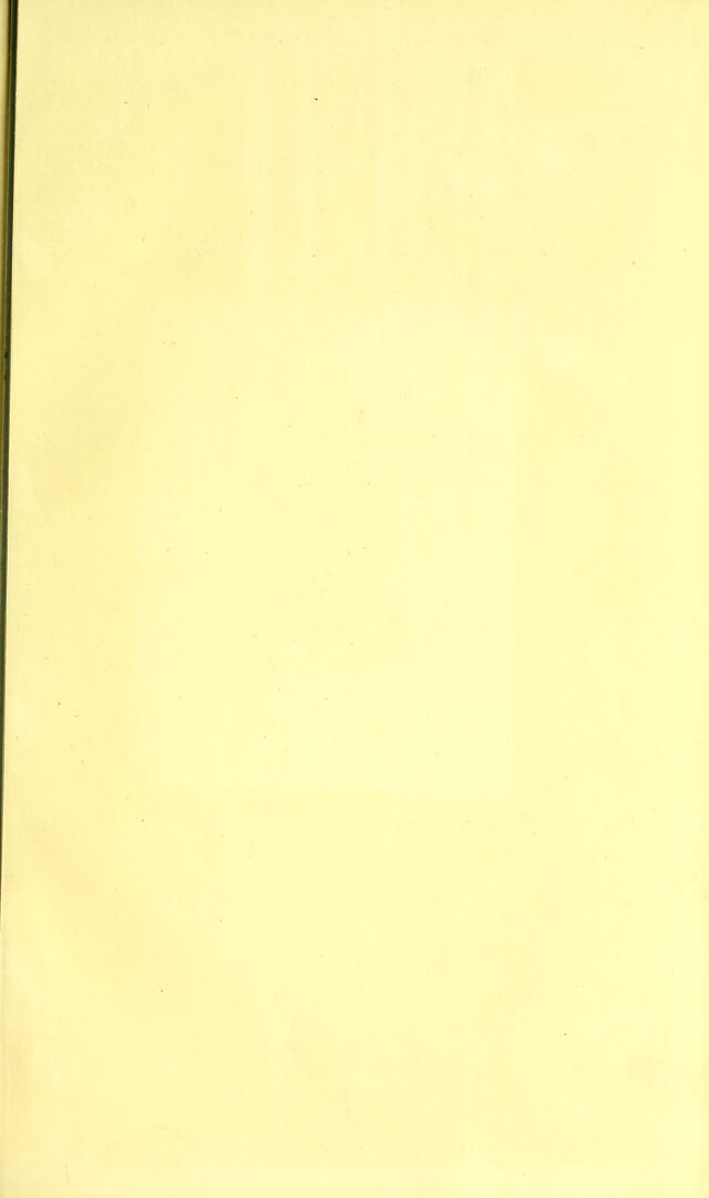 digitised image 3