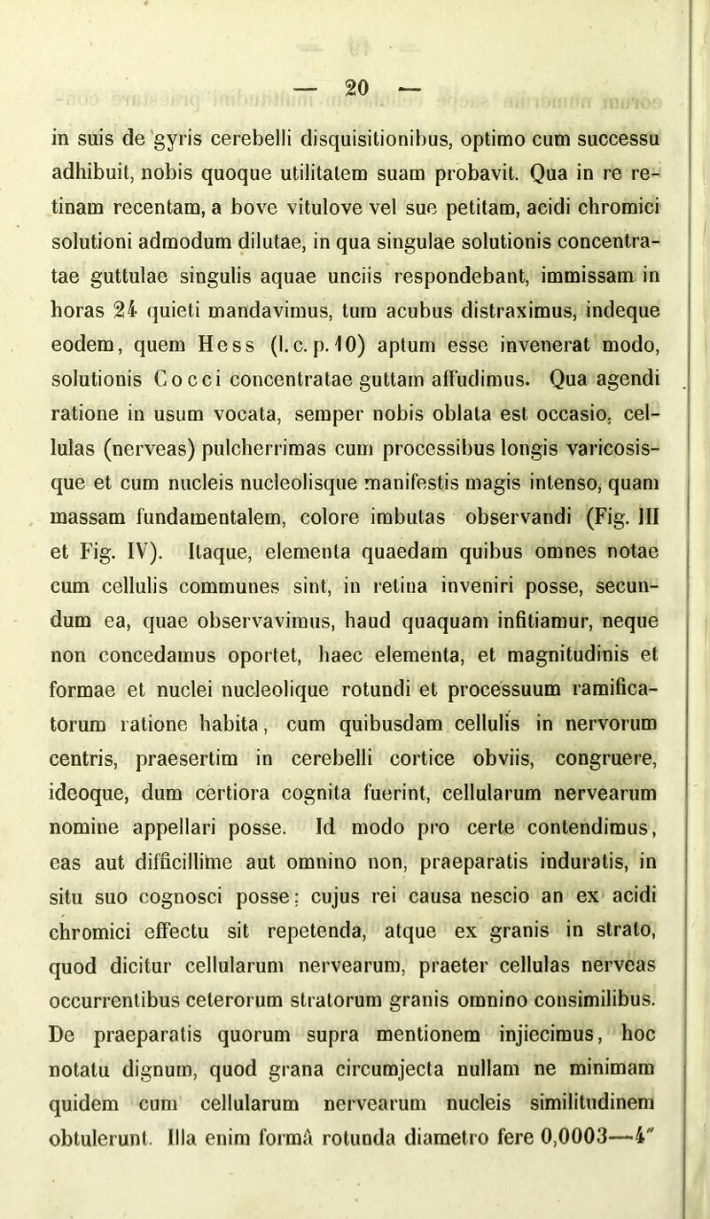 adhibuit, nobis quoque utilitatem suam probavit. Qua in re re- tinam recentam, a bove vitulove vel sue petitam, acidi chromici solutioni admodum dilutae, in qua singulae solutionis concentra- tae guttulae singulis aquae unciis respondebant, immissam in horas 24 quieti mandavimus, tum acubus distraximus, indeque eodem, quem Hess (l.c. p. 10) aptum esse invenerat modo, solutionis Co cci concentratae guttam affudimus. Qua agendi ratione in usum vocata, semper nobis oblata est occasio, cel- lulas (nerveas) pulcherrimas cum processibus longis varicosis- que et cum nucleis nucleolisque manifestis magis intenso, quam massam fundamentalem, colore imbutas observandi (Fig. III et Fig. IV). Itaque, elementa quaedam quibus omnes notae cum cellulis communes sint, in retina inveniri posse, secun- dum ea, quae observavimus, haud quaquam infitiamur, neque non concedamus oportet, haec elementa, et magnitudinis et formae et nuclei nucleolique rotundi et processuum ramifica- torum ratione habita, cum quibusdam cellulis in nervorum centris, praesertim in cerebelli cortice obviis, congruere, ideoque, dum certiora cognita fuerint, cellularum nervearum nomine appellari posse. Id modo pro certe contendimus, eas aut difficillime aut omnino non, praeparatis induratis, in situ suo cognosci posse; cujus rei causa nescio an ex acidi chromici effectu sit repetenda, atque ex granis in strato, quod dicitur cellularum nervearum, praeter cellulas nerveas occurrentibus ceterorum stratorum granis omnino consimilibus. De praeparatis quorum supra mentionem injiecimus, hoc notatu dignum, quod grana circumjecta nullam ne minimam quidem cum cellularum nervearum nucleis similitudinem obtulerunt. Illa enim formfi rotunda diametro fere 0,0003—4