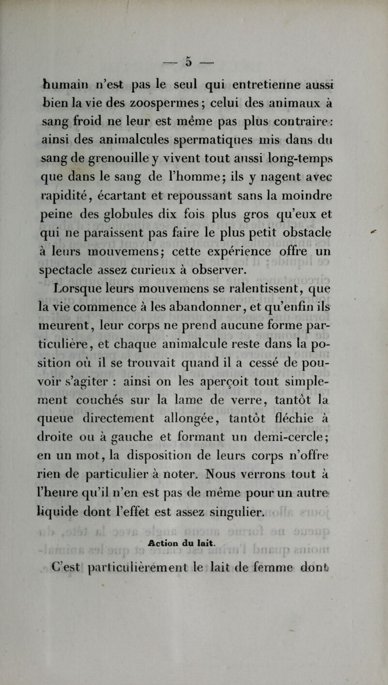 O humain n’est pas le seul qui entretienne aussi bien la vie des zoospermes; celui des animaux à sang froid ne leur est meme pas plus contraire: ainsi des animalcules spermatiques mis dans du sang de grenouille y vivent tout aussi long-temps que dans le sang de l’homme; ils y nagent avec rapidité, écartant et repoussant sans la moindre peine des globules dix fois plus gros qu’eux et qui ne paraissent pas faire le plus petit obstacle à leurs mouvemens; cette expérience offre un spectacle assez curieux à observer. Lorsque leurs mouvemens se ralentissent, que la vie commence à les abandonner, et qu’enfin ils meurent, leur corps ne prend aucune forme par- ticulière, et chaque animalcule reste dans la po- sition où il se trouvait quand il a cessé de pou- voir s’agiter : ainsi on les aperçoit tout simple- ment couchés sur la lame de verre, tantôt la queue directement allongée, tantôt fléchie à droite ou à gauche et formant un demi-cercle; en un mot, la disposition de leurs corps n’offre rien de particulier à noter. Nous verrons tout à l’heure qu’il n’en est pas de même pour un autre liquide dont l’effet est assez singulier. Action du lait. C’est particulièrement le lait de femme dont