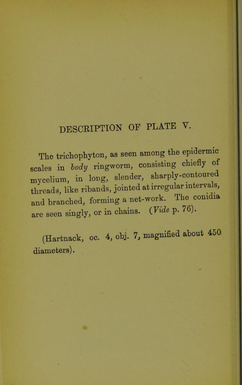 The trichophyton, as seen among the epidermic scales in lody ringworm, consisting chiefly of mycelium, in long, slender, sharply-contoured threads, like ribands, jointed at irregular intervals, and branched, forming a net-work. The conidia are seen singly, or in chains. (Vide p. 76). (Hartnack, oc. 4, obj. 7, magnified about 450