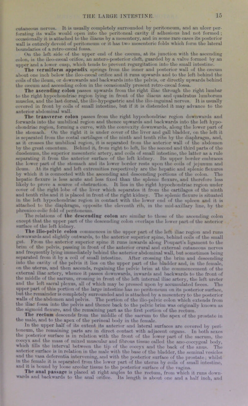 cutaneous nerves. It is usually completely surrounded by peritoneum, and an ulcer per- forating its walls would open into the peritoneal cavity if adhesions had not formed ; occasionally it is attached to the iliacus by a mesentery, and in some rare cases its posterior wall is entirely devoid of peritoneum or it has two mesenteric folds which form the lateral boundaries of a retro-eaecal fossa. On the left side of the upper end of the caecum, at its junction with the ascending colon, is the ileo-cmcal orifice, an antero-posterior cleft, guarded by a valve formed by an upper and a lower cusp, which tends to prevent regurgitation into the small intestine. The vermiform appendix springs from the inner and posterior wall of the crncum about one inch below the ileo-cajcal orifice and it runs upwards and to the left behind the coils of the ileum, or downwards and backwards into the pelvis, or directly upwards behind the cjecum and ascending colon in the occasionally present retro-csecal fossa. The ascending colon passes upwards from the right iliac through the right lumbar to the right hypochondriac region lying in front of the iliacus and quadratus lumborum muscles, and the last dorsal, the ilio hypogastric and the ilio-inguinal nerves. It is usually covered in front by coils of small intestine, but if it is distended it may advance to the anterior abdominal wall. The transverse colon passes from the right hypochondriac region downwards and forwards into the umbilical region and thence upwards and backwards into the left hypo- chondriac region, forming a curve, with the convexity downwards, along the lower part of the stomach. On the right it is under cover <>f the liver and gall bladder, on the left it is separated from the costal cartilages of the ninth ami tenth ribs by the diaphragm, and, as it crosses the umbilical region, it is se|virated from the anterior wall of the abdomen by the great omentum. Behind it, from right to left, lie the second and third parts of the duodenum, the superior mesenteric artery, and coils of small intestine, the latter as a rule separating it from the anterior surface of the left kidney. Its upper border embraces the lower jiart of the stomach and its lower border rests upon the coils of jejunum and ileum. At its right and left extremities respectively are the hej»atic and splenic flexures by which it is connected with the ascending and descending portions of the colon. The hepatic flexure is less acute and less fixed than the splenic flexure, and therefore less likely to prove a source of obstruction. It lies in the right hyjM>chondriac region under cover of the right lobe of the liver which separates it from the cartilages of the ninth and tenth ribs and it is placed in front of the right kidney. The splenic flexure is situated in the left hypochondriac region in contact with the lower end of the spleen and it is attached to the diaphragm, opjMisite the eleventh rib, in the mid-axillary line, by the phrenico-colic fold of peritoneum. The relations of the descending colon are similar to those of the ascending colon except that the upper part of the descending colon overlaps the lower |>artof the anterior surface of the left kidney. I lie ilio-pelvic colon commences in the upper part of the left iliac region and runs downwards and slightly outwards, to the anterior superior spine, behind coils of the small gut. From the anterior superior spine it runs inwards along Poupart’s ligament to the brim of the pelvis, jtassing in front of the anterior crural and external cutaneous nerves and frequently lying immediately behind the anterior abdominal wall, but sometimes being separated from it by a coil of small intestine. After crossing the brim and descending into the cavity of the pelvis it lies on the upper jwirt of the bladder anil, in the female, on the uterus, and then ascends, regaining tne pelvic brim at the commencement of the external iliac artery, whence it jtasses downwards, inwards and backwards to the front of the middle of the sacrum, crossing in front of the left internal iliac artery, the left ureter and the left sacral plexus, all of which may be pressed u|*>n by accumulates! fieces. The upper j>art of this portion of the large intestine has no peritoneum on its ^interior surface, but the remainder is completely surrounded and is attached by a mesentery t<> the posterior walls of the abdomen and pelvis. The portion of the ilio-j>eivic colon which extemls from the iliac fossa into the jielvis and thence liack to the pelvic brim was originally known as the sigmoid flexure, and the remaining part as the first portion of the rectum. The rectum descends from the middle of the sacrum to the apex of the prostate in the male, and to the apex of the perineal body in the female. In the upper half of its extent its anterior and lateral surfaces are covered by peri- toneum, the remaining jiarts are in direct contact with adjacent organs. In l>oth sexes the ]sisterior surface is in relation with the front of the lower jiart of the sacrum, the coccyx and the mass of mixed muscular ami fibrous tissue called the ano-coccygeal body, which tills the interval lietween the tip of the coccyx and the back of t.he anus. The anterior surface is in relation in the male with the l>ase of the bladder, the seminal vesicles and the vasa deferentia intervening, and with the posterior surface of the prostate; whilst in the female it is separated from thu lower part of the uterus by coils of small intestine, and it is bound by loose areolar tissue to the posterior surface of the vagina. I he anal passage is placed at right angles to the rectum, from which it runs down- wards and liackwards to the anal orifice. Its length is alxmt one and a half inch, and