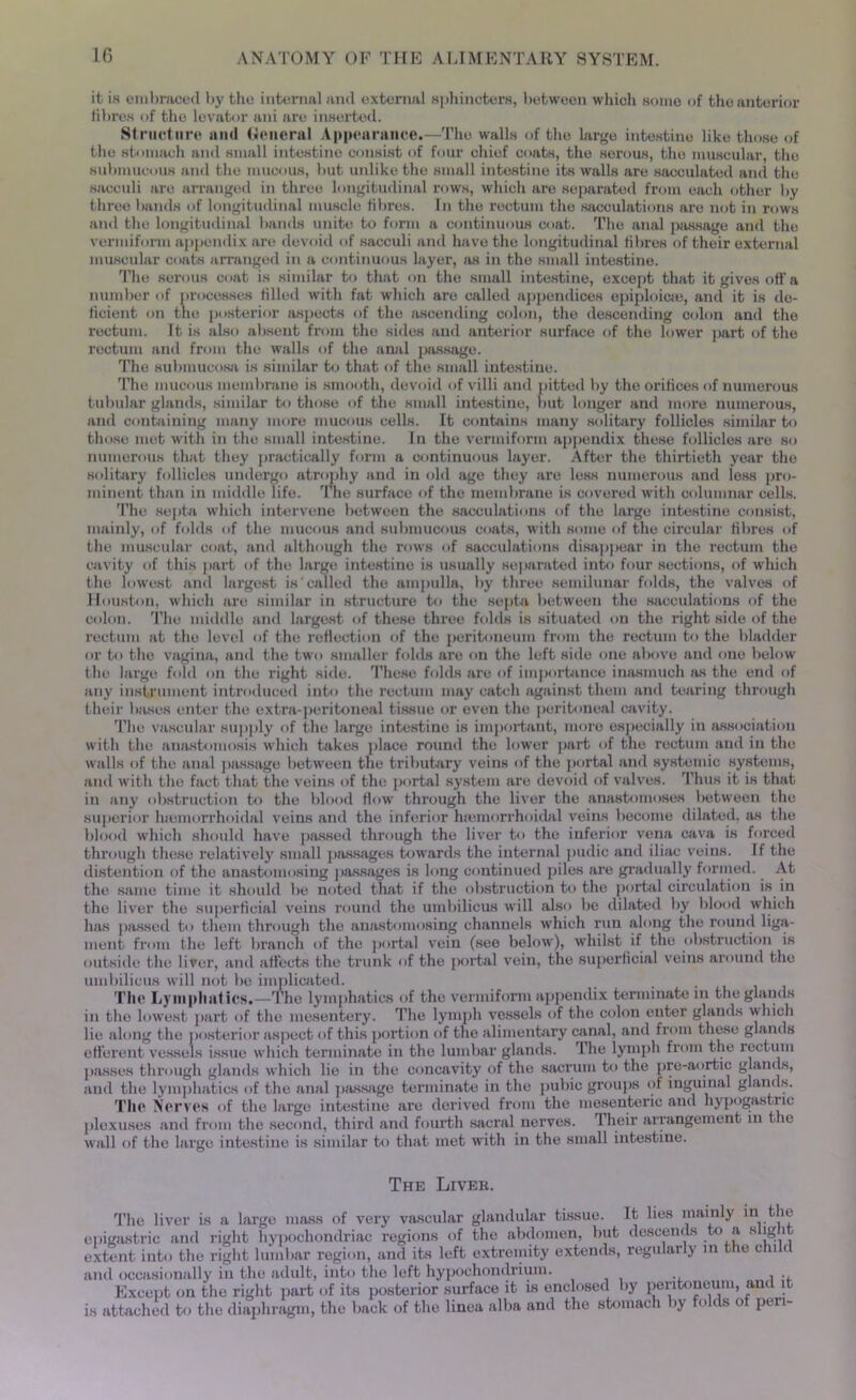 it is embraced by the internal and external sphincters, between which some of the anterior fibres of the levator ani are inserted. Structure mid General Appearance.—The walls of the large intestine like those of the stomach and small intestine consist of four chief coats, the serous, the muscular the submucous and the mucous, but unlike the small intestine its walls are sacculated and the sacculi are arranged in three longitudinal rows, which are separated from each other by throe bands of longitudinal muscle fibres. In the rectum the sacculations are not in rows and the longitudinal bands unite to form a continuous coat. The anal passage and the vermiform appendix are devoid of sacculi and have the longitudinal fibres of their external muscular coats arranged in a continuous layer, as in the small intestine. The serous coat is similar to that on the small intestine, except that it gives off a number of processes filled with fat which are called appendices epiploic®, and it is de- ficient on the posterior aspects of the ascending colon, the descending colon and the rectum. It is also absent from the sides and anterior surface of the lower part of the rectum and from the walls of the anal passage. The submucosa is similar to that of the small intestine. The mucous membrane is smooth, devoid of villi and pitted by the orifices of numerous tubular glands, similar to those of the small intestine, but longer and more numerous, and containing many more mucous cells. It contains many solitary follicles similar to those met with in the small intestine. In the vermiform appendix these follicles are bo numerous that they practically form a continuous layer. After the thirtieth year the solitary follicles undergo atrophy and in old age they are less numerous and less pro- minent than in middle life. The surface of the membrane is covered with columnar cells. The septa which intervene between the sacculations of the large intestine consist, mainly, of folds of the mucous and submucous coats, with some of the circular fibres of the muscular coat, and although the rows of sacculations disappear in the rectum the cavity of this part of the large intestine is usually separated into four sections, of which the lowest and largest is called the ampulla, by three semilunar folds, the valves of Houston, which are similar in structure to the septa between the sacculations of the colon. The middle and largest of these three folds is situated on the right side of the rectum at the level of the reflection of the peritoneum from the rectum to the bladder or to the vagina, and the two smaller folds are on the left side one above and one below the large fold on the right side. These folds are of importance inasmuch as the end of any instrument introduced into the rectum may catch against them and tearing through their bases enter the extra-peritoneal tissue or even the peritoneal cavity. The vascular supply of the large intestine is important, more especially in association with the anastomosis which takes place round the lower part of the rectum and in the walls of the anal passage between the tributary veins of the portal and systemic systems, and with the fact that the veins of the portal system are devoid of valves. Thus it is that in any obstruction to the blood flow through the liver the anastomoses between the superior hmmorrhoidal veins and the inferior hremorrhoidal veins become dilated, as the blood which should have passed thi'ough the liver to the inferior vena cava is forced through these relatively small passages towards the internal pudic and iliac veins. If the distention of the anastomosing passages is long continued piles are gradually formed. At the same time it should be noted that if the obstruction to the portal circulation is in the liver the superficial veins round the umbilicus will also be dilated by blood which has passed to them through the anastomosing channels which run along the round liga- ment from the left branch of the portal vein (see below), whilst if the obstruction is outside the liver, and affects the trunk of the portal vein, the superficial veins around the umbilicus will not be implicated. _ . . The Lymphatics.—The lymphatics of the vermiform appendix terminate in the glands in the lowest part of the mesentery. The lymph vessels of the colon enter glands which lie along the posterior aspect of this portion of the alimentary canal, and from these glands efferent vessels issue which terminate in the lumbar glands. The lymph from the rectum passes through glands which lie in the concavity of the sacrum to the pre-aortic glands, and the lymphatics of the anal passage terminate in the pubic groups of inguinal glands. The Nerves of the large intestine are derived from the mesenteric and hypogastnc plexuses and from the second, third and fourth sacral nerves. I heir arrangement in the wall of the large intestine is similar to that met with in the small intestine. The Liver. The liver is a large mass of very vascular glandular tissue. It lies mainly in_t ie epigastric and right hypochondriac regions of the abdomen, but descends to a s lg it extent into the right lumbar region, and its left extremity extends, regularly in the chi < and occasionally in the adult, into the left hypochondrium. , . Except on the right part of its posterior surface it is enclosed by peritoneum, anc 1 is attached to the diaphragm, the back of the linea alba and the stomach by folds of pen-