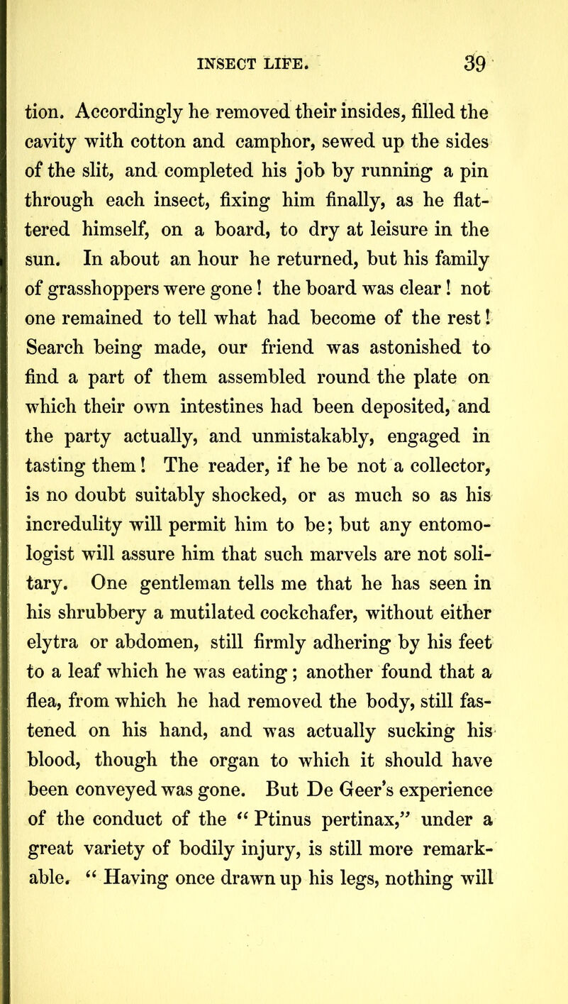 tion. Accordingly he removed their insides, filled the cavity with cotton and camphor, sewed up the sides of the slit, and completed his job by running a pin through each insect, fixing him finally, as he flat- tered himself, on a board, to dry at leisure in the sun. In about an hour he returned, but his family of grasshoppers were gone! the board was clear! not one remained to tell what had become of the rest! Search being made, our friend was astonished to find a part of them assembled round the plate on which their own intestines had been deposited, and the party actually, and unmistakably, engaged in tasting them! The reader, if he be not a collector, is no doubt suitably shocked, or as much so as his incredulity will permit him to be; but any entomo- logist will assure him that such marvels are not soli- tary. One gentleman tells me that he has seen in his shrubbery a mutilated cockchafer, without either elytra or abdomen, still firmly adhering by his feet to a leaf which he was eating; another found that a flea, from which he had removed the body, still fas- tened on his hand, and was actually sucking his blood, though the organ to which it should have been conveyed was gone. But De Geer’s experience of the conduct of the “ Ptinus pertinax,” under a great variety of bodily injury, is still more remark- able. “ Having once drawn up his legs, nothing will