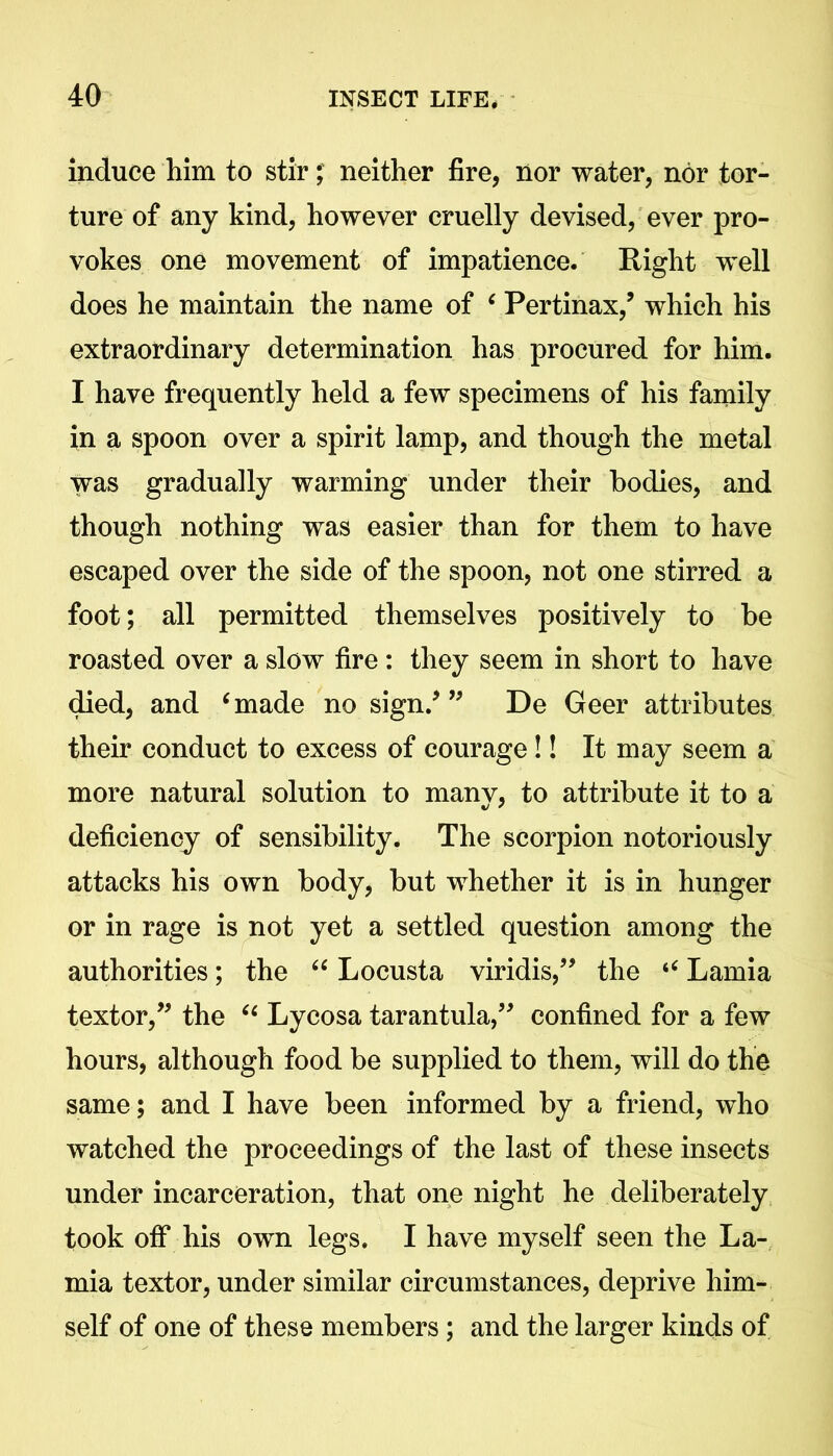 induce him to stir ; neither fire, nor water, nor tor- ture of any kind, however cruelly devised, ever pro- vokes one movement of impatience. Right well does he maintain the name of ‘ Pertinax,’ which his extraordinary determination has procured for him. I have frequently held a few specimens of his family in a spoon over a spirit lamp, and though the metal was gradually warming under their bodies, and though nothing was easier than for them to have escaped over the side of the spoon, not one stirred a foot; all permitted themselves positively to be roasted over a slow fire: they seem in short to have died, and ‘made no sign/” De Geer attributes their conduct to excess of courage !! It may seem a more natural solution to many, to attribute it to a deficiency of sensibility. The scorpion notoriously attacks his own body, but whether it is in hunger or in rage is not yet a settled question among the authorities; the “ Locusta viridis,” the “ Lamia textor,” the “ Lycosa tarantula,” confined for a few hours, although food be supplied to them, will do the same; and I have been informed by a friend, who watched the proceedings of the last of these insects under incarceration, that one night he deliberately took off his own legs. I have myself seen the La- mia textor, under similar circumstances, deprive him- self of one of these members; and the larger kinds of