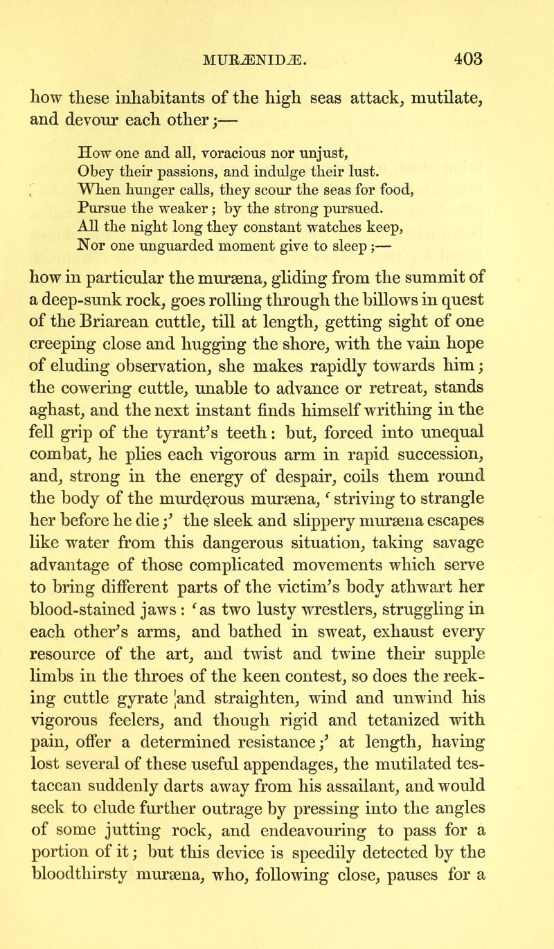 how these inhabitants of the high seas attack, mutilate, and devour each other;— How one and all, voracious nor unjust, Obey their passions, and indulge their lust. When hunger calls, they scour the seas for food, Pursue the weaker; by the strong pursued. All the night long they constant watches keep, Nor one unguarded moment give to sleep how in particular the murgena, gliding from the summit of a deep-sunk rock, goes rolling through the billows in quest of the Briarean cuttle, till at length, getting sight of one creeping close and hugging the shore, with the vain hope of eluding observation, she makes rapidly towards him; the cowering cuttle, unable to advance or retreat, stands aghast, and the next instant finds himself writhing in the fell grip of the tyrant’s teeth: but, forced into unequal combat, he plies each vigorous arm in rapid succession, and, strong in the energy of despair, coils them round the body of the murderous mursena,‘ striving to strangle her before he die;’ the sleek and slippery mursena escapes like water from this dangerous situation, taking savage advantage of those complicated movements which serve to bring different parts of the victim’s body athwart her blood-stained jaws : ‘as two lusty wrestlers, struggling in each other’s arms, and bathed in sweat, exhaust every resource of the art, and twist and twine their supple limbs in the throes of the keen contest, so does the reek- ing cuttle gyrate |and straighten, wind and unwind his vigorous feelers, and though rigid and tetanized with pain, offer a determined resistance;’ at length, having lost several of these useful appendages, the mutilated tes- tacean suddenly darts away from his assailant, and would seek to elude further outrage by pressing into the angles of some jutting rock, and endeavouring to pass for a portion of it; but this device is speedily detected by the bloodthirsty mursena, who, following close, pauses for a