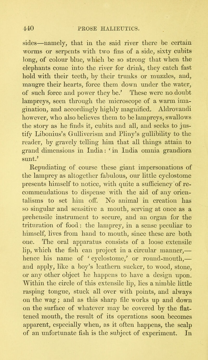 sides—namely, that in the said river there he certain worms or serpents with two fins of a side, sixty cubits long, of colour blue, which be so strong that when the elephants come into the river for drink, they catch fast hold with their teeth, by their trunks or muzzles, and, maugre their hearts, force them down under the water, of such force and power they be/ These were no doubt lampreys, seen through the microscope of a warm ima- gination, and accordingly highly magnified. Aldrovandi however, who also believes them to be lampreys, swallows the story as he finds it, cubits and all, and seeks to jus- tify Libonius’s Gulliverism and Pliny’s gullibility to the reader, by gravely telling him that all things attain to grand dimensions in India: f in India omnia grandiora sunt/ Repudiating of course these giant impersonations of the lamprey as altogether fabulous, our little cyclostome presents himself to notice, with quite a sufficiency of re- commendations to dispense with the aid of any orien- talisms to set him off. No animal in creation has so singular and sensitive a mouth, serving at once as a prehensile instrument to secure, and an organ for the trituration of food: the lamprey, in a sense peculiar to himself, lives from hand to mouth, since these are both one. The oral apparatus consists of a loose extensile lip, which the fish can project in a circular manner,— hence his name of f cyclostome/ or round-mouth,— and apply, like a boy’s leathern sucker, to wood, stone, or any other object he happens to have a design upon. Within the circle of this extensile lip, lies a nimble little rasping tongue, stuck all over with points, and always on the wag; and as this sharp file works up and down on the surface of whatever may be covered by the flat- tened mouth, the result of its operations soon becomes apparent, especially when, as it often happens, the scalp of an unfortunate fish is the subject of experiment. In