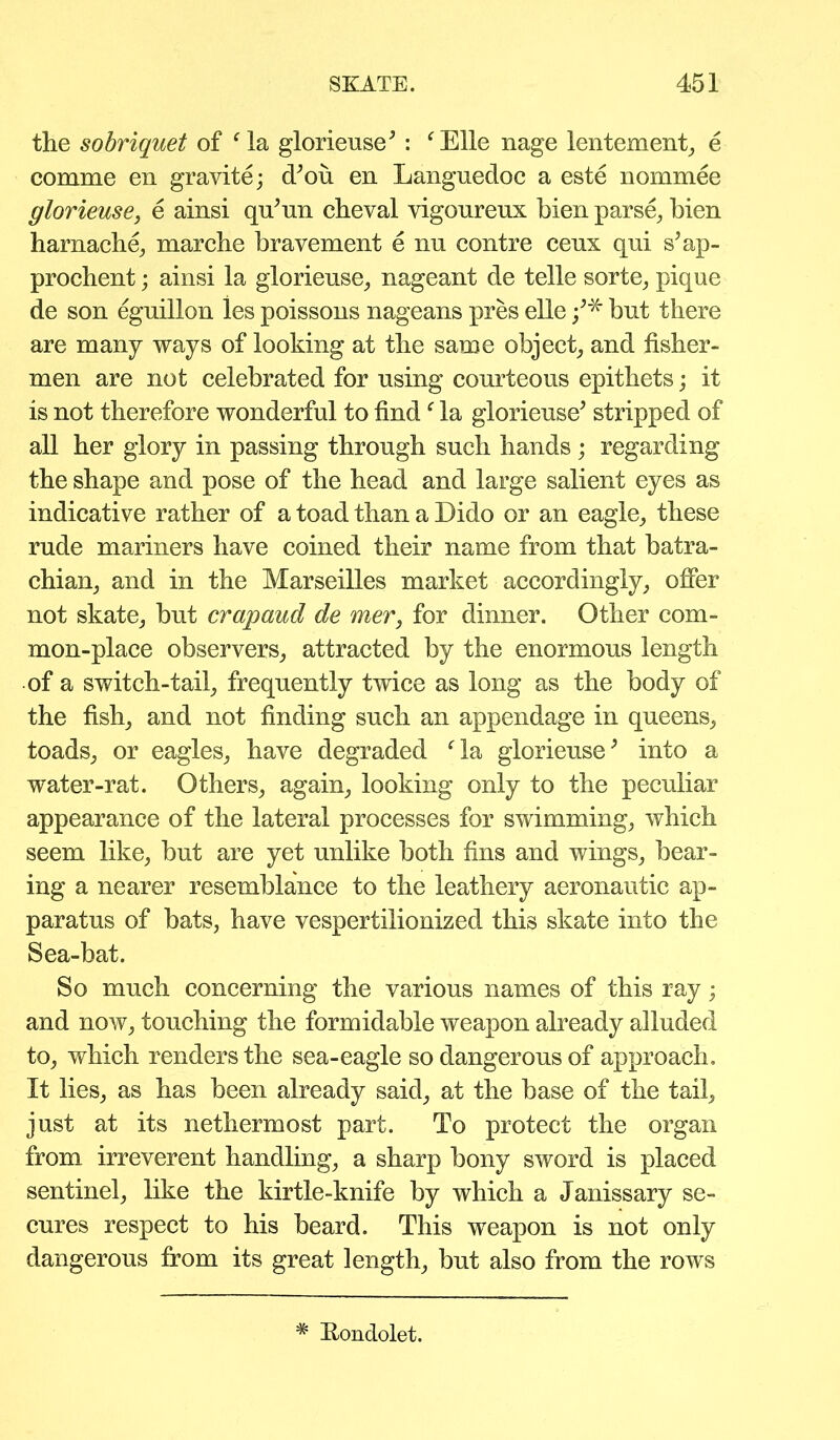 the sobriquet of f la glorieuse* : ‘Elle nage lentement, e comme en gravite; (hou en Languedoc a este nominee glorieuse} e ainsi qff un cheval vigoureux hien parse, hien harnache, marche bravement e nu contre ceux qui s*ap- prochent; ainsi la glorieuse, nageant de telle sorte, pique de son eguillon les poissons nageans pres elle but there are many ways of looking at the same object, and fisher- men are not celebrated for using courteous epithets; it is not therefore wonderful to findf la glorieuse* stripped of all her glory in passing through such hands ; regarding the shape and pose of the head and large salient eyes as indicative rather of a toad than a Dido or an eagle, these rude mariners have coined their name from that batra- chian, and in the Marseilles market accordingly, offer not skate, but crapaud de mer, for dinner. Other com- mon-place observers, attracted by the enormous length of a switch-tail, frequently twice as long as the body of the fish, and not finding such an appendage in queens, toads, or eagles, have degraded fla glorieuse* into a water-rat. Others, again, looking only to the peculiar appearance of the lateral processes for swimming, which seem like, but are yet unlike both fins and wings, bear- ing a nearer resemblance to the leathery aeronautic ap- paratus of bats, have vespertilionized this skate into the Sea-bat. So much concerning the various names of this ray; and now, touching the formidable weapon already alluded to, which renders the sea-eagle so dangerous of approach. It lies, as has been already said, at the base of the tail, just at its nethermost part. To protect the organ from irreverent handling, a sharp bony sword is placed sentinel, like the kirtle-knife by which a Janissary se- cures respect to his beard. This weapon is not only dangerous from its great length, but also from the rows * Londolet.