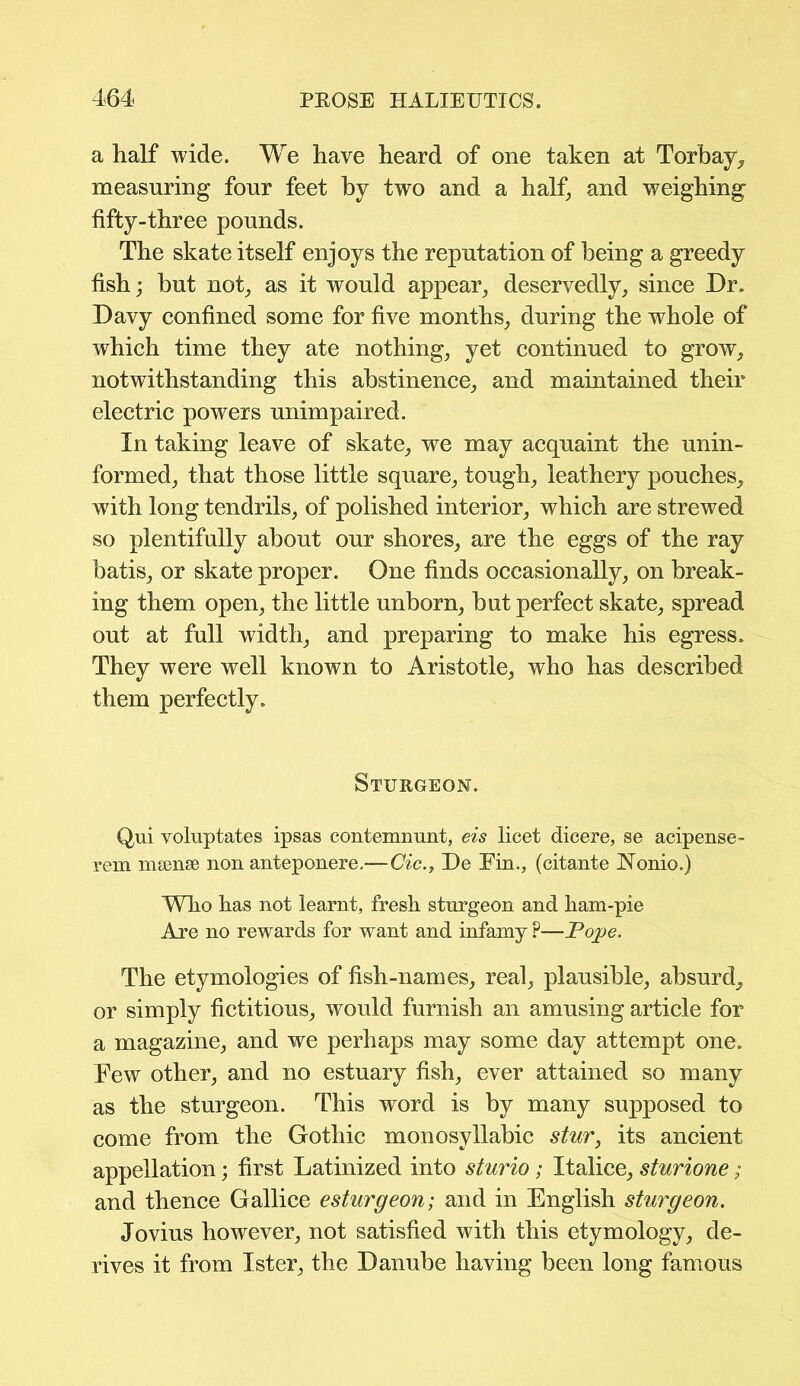 a half wide. We have heard of one taken at Torbay, measuring four feet by two and a half, and weighing fifty-three pounds. The skate itself enjoys the reputation of being a greedy fish; but not, as it would appear, deservedly, since Dr. Davy confined some for five months, during the whole of which time they ate nothing, yet continued to grow, notwithstanding this abstinence, and maintained their electric powers unimpaired. In taking leave of skate, we may acquaint the unin- formed, that those little square, tough, leathery pouches, with long tendrils, of polished interior, which are strewed so plentifully about our shores, are the eggs of the ray batis, or skate proper. One finds occasionally, on break- ing them open, the little unborn, but perfect skate, spread out at full width, and preparing to make his egress. They were well known to Aristotle, who has described them perfectly. Sturgeon. Qui voluptates ipsas contemnunt, eis licet dicere, se acipense- rem msense non anteponere.—Cic.y De Fin., (citante Aonio.) Who has not learnt, fresh sturgeon and ham-pie Are no rewards for want and infamy P—Pope. The etymologies of fish-names, real, plausible, absurd, or simply fictitious, would furnish an amusing article for a magazine, and we perhaps may some day attempt one. Few other, and no estuary fish, ever attained so many as the sturgeon. This word is by many supposed to come from the Gothic monosyllabic stur, its ancient appellation; first Latinized into sturio; Italice, sturione; and thence Gallice esturgeon; and in English sturgeon. Jovius however, not satisfied with this etymology, de- rives it from Ister, the Danube having been long famous