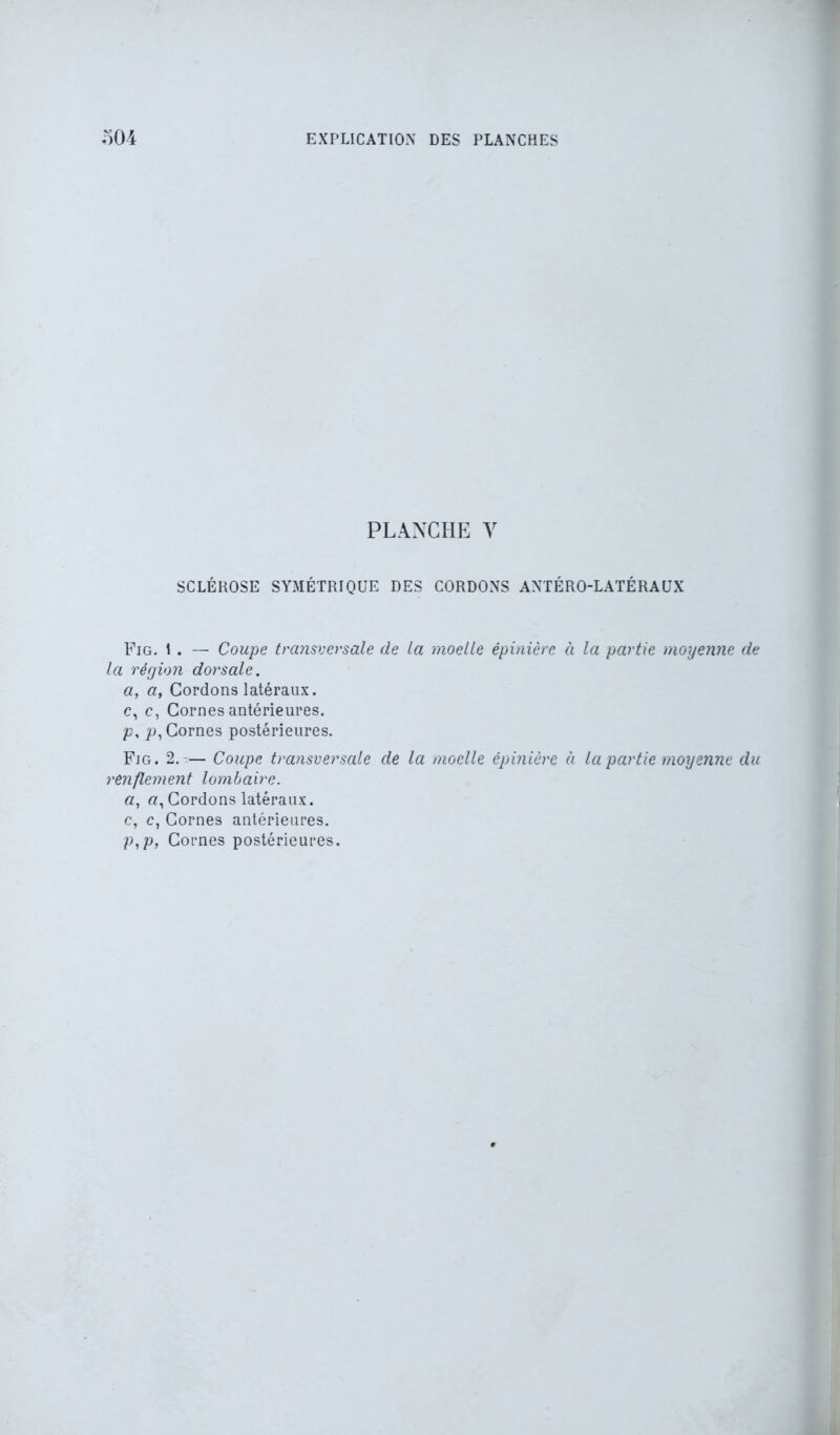 PLANCHE Y SCLÉROSE SYMÉTRIQUE DES CORDONS ANTÉRO-LATÉRAUX Fig. I . — Coupe transversale de la moelle épinière à la partie moyenne de la région dorsale, a, a, Cordons latéraux, c, c, Cornes antérieures. ps p, Cornes postérieures. Fig. 2— Coupe transversale de la moelle épinière à la partie moyenne du renflement lombaire, a, a, Cordons latéraux, c, c, Cornes antérieures. p,p, Cornes postérieures.