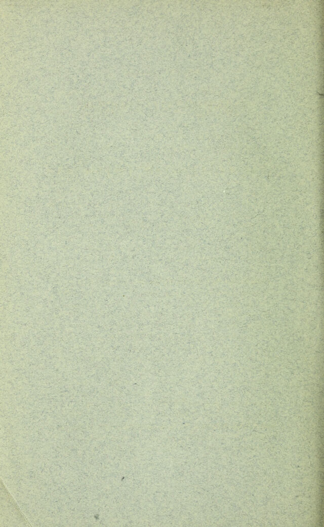 digitised image 2