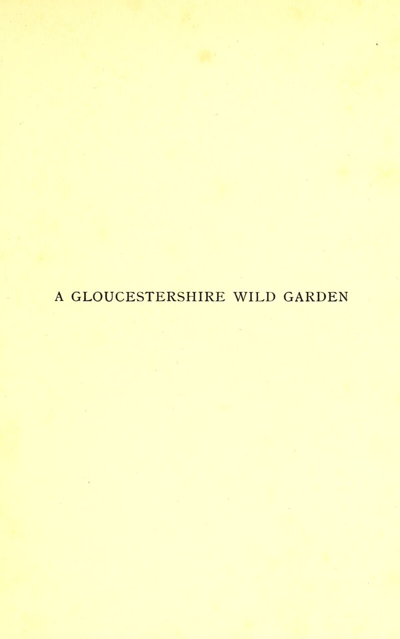 A GLOUCESTERSHIRE WILD GARDEN