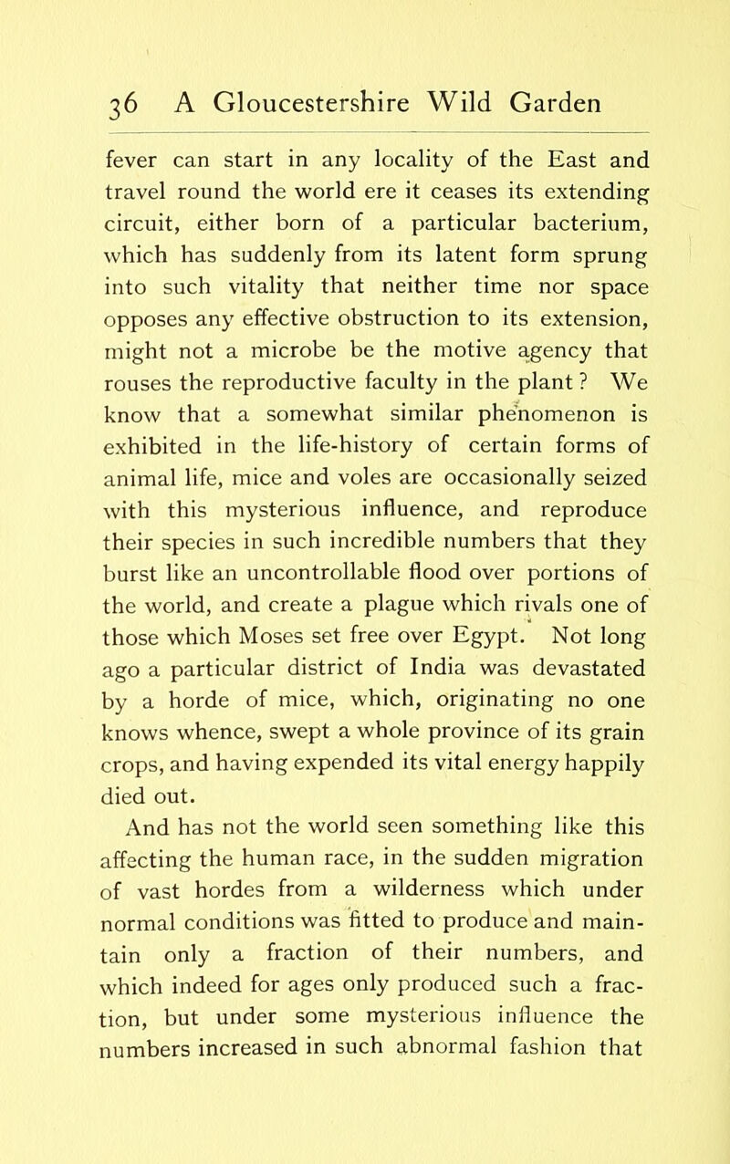 fever can start in any locality of the East and travel round the world ere it ceases its extending circuit, either born of a particular bacterium, which has suddenly from its latent form sprung into such vitality that neither time nor space opposes any effective obstruction to its extension, might not a microbe be the motive agency that rouses the reproductive faculty in the plant ? We know that a somewhat similar phenomenon is exhibited in the life-history of certain forms of animal life, mice and voles are occasionally seized with this mysterious influence, and reproduce their species in such incredible numbers that they burst like an uncontrollable flood over portions of the world, and create a plague which rivals one of those which Moses set free over Egypt. Not long ago a particular district of India was devastated by a horde of mice, which, originating no one knows whence, swept a whole province of its grain crops, and having expended its vital energy happily died out. And has not the world seen something like this affecting the human race, in the sudden migration of vast hordes from a wilderness which under normal conditions was fitted to produce and main- tain only a fraction of their numbers, and which indeed for ages only produced such a frac- tion, but under some mysterious influence the numbers increased in such abnormal fashion that
