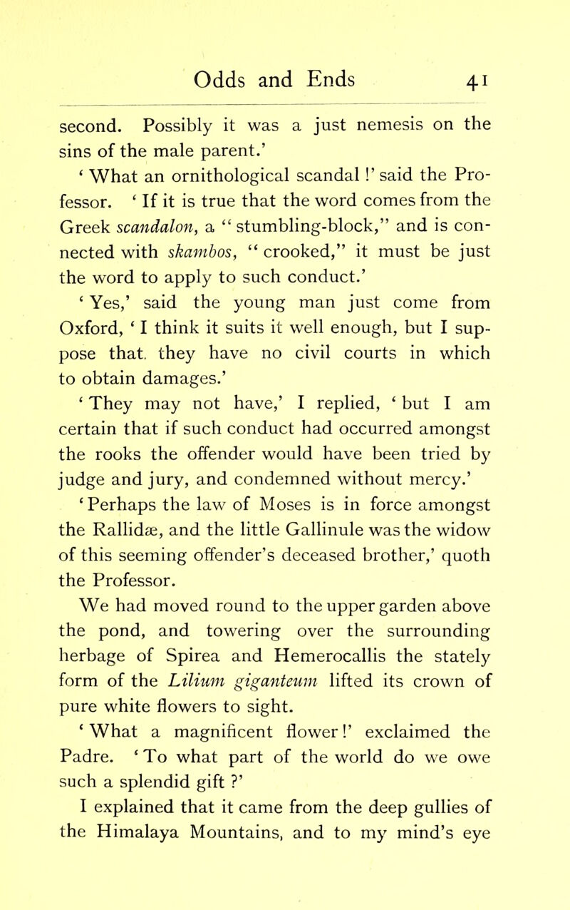 second. Possibly it was a just nemesis on the sins of the male parent.’ ‘ What an ornithological scandal !’ said the Pro- fessor. ‘ If it is true that the word comes from the Greek scandalon, a “ stumbling-block,” and is con- nected with skambos, “ crooked,” it must be just the word to apply to such conduct.’ ‘ Yes,’ said the young man just come from Oxford, ‘ I think it suits it well enough, but I sup- pose that, they have no civil courts in which to obtain damages.’ ‘ They may not have,’ I replied, ‘ but I am certain that if such conduct had occurred amongst the rooks the offender would have been tried by judge and jury, and condemned without mercy.’ ‘ Perhaps the law of Moses is in force amongst the Rallidae, and the little Gallinule was the widow of this seeming offender’s deceased brother,’ quoth the Professor. We had moved round to the upper garden above the pond, and towering over the surrounding herbage of Spirea and Hemerocallis the stately form of the Lilium giganteum lifted its crown of pure white flowers to sight. ‘What a magnificent flower!’ exclaimed the Padre. ‘ To what part of the world do we owe such a splendid gift ?’ I explained that it came from the deep gullies of the Himalaya Mountains, and to my mind’s eye