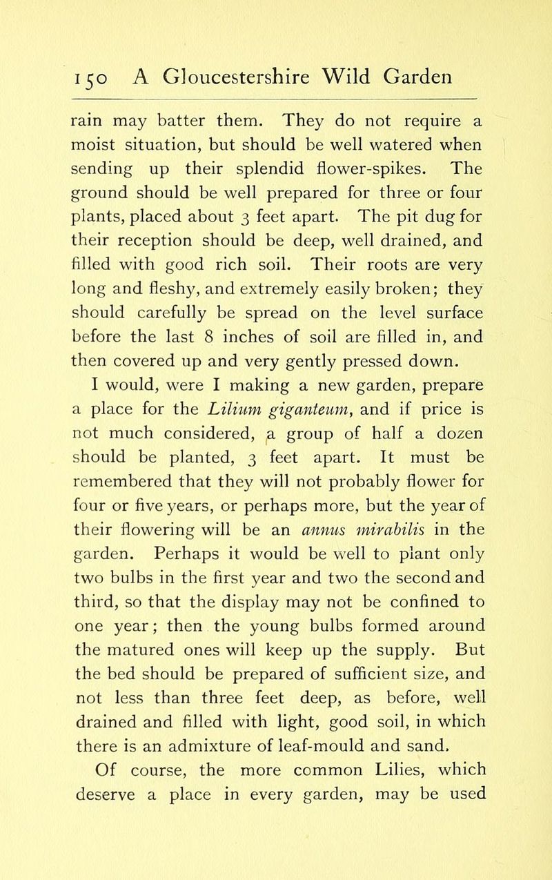rain may batter them. They do not require a moist situation, but should be well watered when sending up their splendid flower-spikes. The ground should be well prepared for three or four plants, placed about 3 feet apart. The pit dug for their reception should be deep, well drained, and filled with good rich soil. Their roots are very long and fleshy, and extremely easily broken; they should carefully be spread on the level surface before the last 8 inches of soil are filled in, and then covered up and very gently pressed down. I would, were I making a new garden, prepare a place for the Lilium giganteum, and if price is not much considered, a group of half a dozen should be planted, 3 feet apart. It must be remembered that they will not probably flower for four or five years, or perhaps more, but the year of their flowering will be an annus mirabilis in the garden. Perhaps it would be well to plant only two bulbs in the first year and two the second and third, so that the display may not be confined to one year; then the young bulbs formed around the matured ones will keep up the supply. But the bed should be prepared of sufficient size, and not less than three feet deep, as before, well drained and filled with light, good soil, in which there is an admixture of leaf-mould and sand. Of course, the more common Lilies, which deserve a place in every garden, may be used