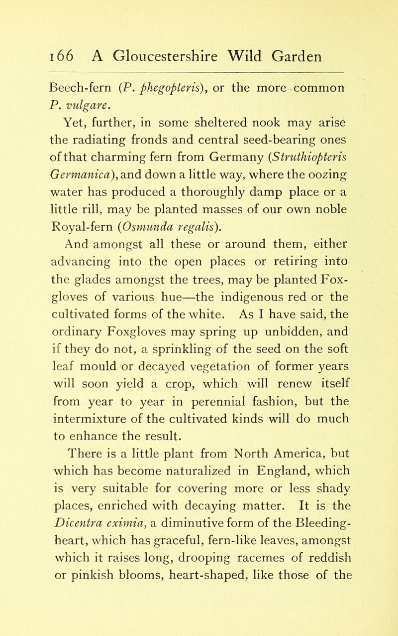 Beech-fern (P. phegopteris), or the more common P. vulgare. Yet, further, in some sheltered nook may arise the radiating fronds and central seed-bearing ones of that charming fern from Germany (Struthiopteris Germanica), and down a little way, where the oozing water has produced a thoroughly damp place or a little rill, may be planted masses of our own noble Royal-fern (Osmunda regalis). And amongst all these or around them, either advancing into the open places or retiring into the glades amongst the trees, may be planted Fox- gloves of various hue—the indigenous red or the cultivated forms of the white. As I have said, the ordinary Foxgloves may spring up unbidden, and if they do not, a sprinkling of the seed on the soft leaf mould or decayed vegetation of former years will soon yield a crop, which will renew itself from year to year in perennial fashion, but the intermixture of the cultivated kinds will do much to enhance the result. There is a little plant from North America, but which has become naturalized in England, which is very suitable for covering more or less shady places, enriched with decaying matter. It is the Dicentra eximia, a diminutive form of the Bleeding- heart, which has graceful, fern-like leaves, amongst which it raises long, drooping racemes of reddish or pinkish blooms, heart-shaped, like those of the