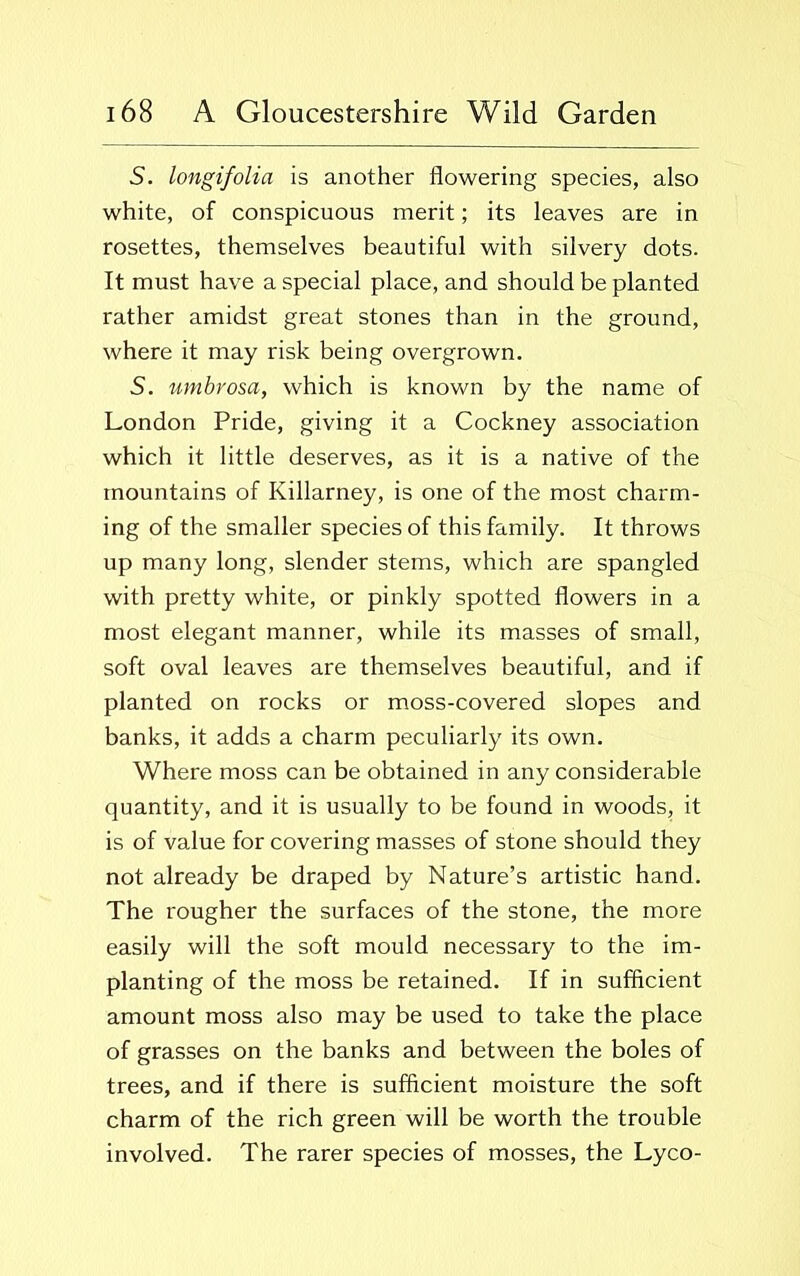 S. longifolia is another flowering species, also white, of conspicuous merit; its leaves are in rosettes, themselves beautiful with silvery dots. It must have a special place, and should be planted rather amidst great stones than in the ground, where it may risk being overgrown. S. umbrosa, which is known by the name of London Pride, giving it a Cockney association which it little deserves, as it is a native of the mountains of Killarney, is one of the most charm- ing of the smaller species of this family. It throws up many long, slender stems, which are spangled with pretty white, or pinkly spotted flowers in a most elegant manner, while its masses of small, soft oval leaves are themselves beautiful, and if planted on rocks or moss-covered slopes and banks, it adds a charm peculiarly its own. Where moss can be obtained in any considerable quantity, and it is usually to be found in woods, it is of value for covering masses of stone should they not already be draped by Nature’s artistic hand. The rougher the surfaces of the stone, the more easily will the soft mould necessary to the im- planting of the moss be retained. If in sufficient amount moss also may be used to take the place of grasses on the banks and between the boles of trees, and if there is sufficient moisture the soft charm of the rich green will be worth the trouble involved. The rarer species of mosses, the Lyco-