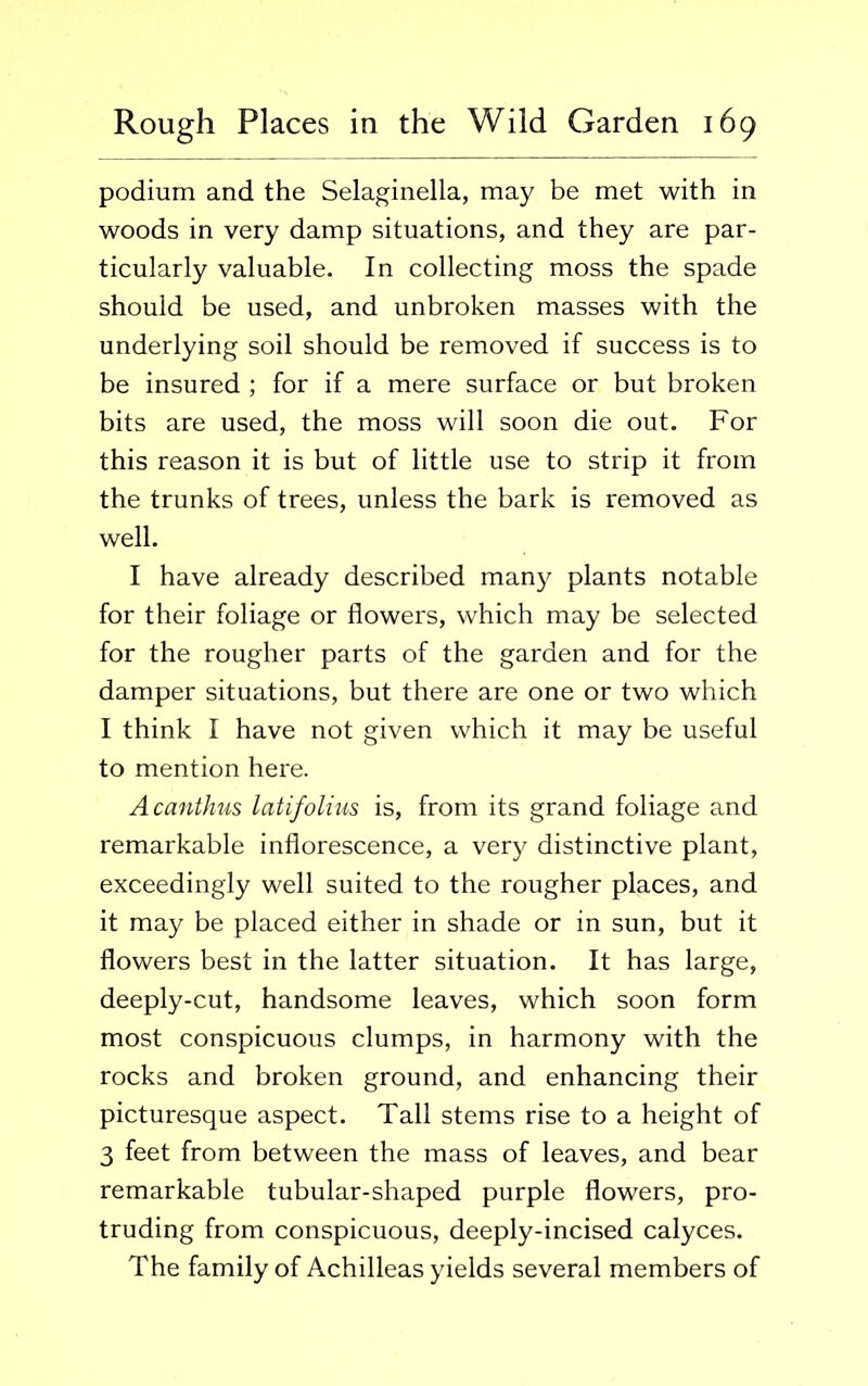 podium and the Selaginella, may be met with in woods in very damp situations, and they are par- ticularly valuable. In collecting moss the spade should be used, and unbroken masses with the underlying soil should be removed if success is to be insured ; for if a mere surface or but broken bits are used, the moss will soon die out. For this reason it is but of little use to strip it from the trunks of trees, unless the bark is removed as well. I have already described many plants notable for their foliage or flowers, which may be selected for the rougher parts of the garden and for the damper situations, but there are one or two which I think I have not given which it may be useful to mention here. Acanthus latifolius is, from its grand foliage and remarkable inflorescence, a very distinctive plant, exceedingly well suited to the rougher places, and it may be placed either in shade or in sun, but it flowers best in the latter situation. It has large, deeply-cut, handsome leaves, which soon form most conspicuous clumps, in harmony with the rocks and broken ground, and enhancing their picturesque aspect. Tall stems rise to a height of 3 feet from between the mass of leaves, and bear remarkable tubular-shaped purple flowers, pro- truding from conspicuous, deeply-incised calyces. The family of Achilleas yields several members of