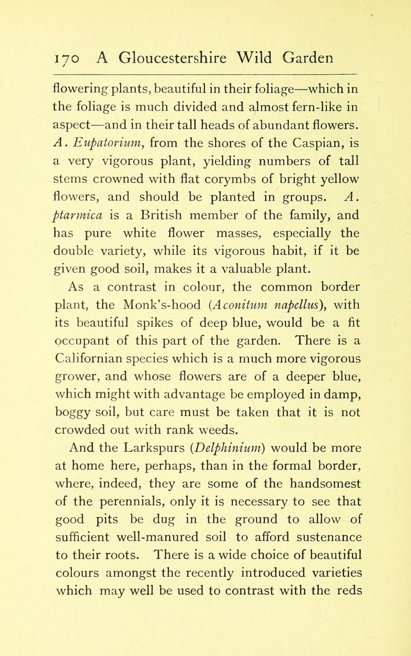 flowering plants, beautiful in their foliage—which in the foliage is much divided and almost fern-like in aspect—and in their tall heads of abundant flowers. A. Eupatorium, from the shores of the Caspian, is a very vigorous plant, yielding numbers of tall stems crowned with flat corymbs of bright yellow flowers, and should be planted in groups. A. ptarmica is a British member of the family, and has pure white flower masses, especially the double variety, while its vigorous habit, if it be given good soil, makes it a valuable plant. As a contrast in colour, the common border plant, the Monk’s-hood (Aconitum napellus), with its beautiful spikes of deep blue, would be a fit occupant of this part of the garden. There is a Californian species which is a much more vigorous grower, and whose flowers are of a deeper blue, which might with advantage be employed in damp, boggy soil, but care must be taken that it is not crowded out with rank weeds. And the Larkspurs (Delphinium) would be more at home here, perhaps, than in the formal border, where, indeed, they are some of the handsomest of the perennials, only it is necessary to see that good pits be dug in the ground to allow of sufficient well-manured soil to afford sustenance to their roots. There is a wide choice of beautiful colours amongst the recently introduced varieties which may well be used to contrast with the reds