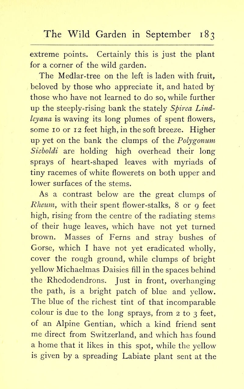 extreme points. Certainly this is just the plant for a corner of the wild garden. The Medlar-tree on the left is laden with fruit, beloved by those who appreciate it, and hated by those who have not learned to do so, while further up the steeply-rising bank the stately Spirea Lind- leyana is waving its long plumes of spent flowers, some 10 or 12 feet high, in the soft breeze. Higher up yet on the bank the clumps of the Polygonum Sieboldi are holding high overhead their long sprays of heart-shaped leaves with myriads of tiny racemes of white flowerets on both upper and lower surfaces of the stems. As a contrast below are the great clumps of Rheum, with their spent flower-stalks, 8 or 9 feet high, rising from the centre of the radiating stems of their huge leaves, which have not yet turned brown. Masses of Ferns and stray bushes of Gorse, which I have not yet eradicated wholly, cover the rough ground, while clumps of bright yellow Michaelmas Daisies fill in the spaces behind the Rhododendrons. Just in front, overhanging the path, is a bright patch of blue and yellow. The blue of the richest tint of that incomparable colour is due to the long sprays, from 2 to 3 feet, of an Alpine Gentian, which a kind friend sent me direct from Switzerland, and which has found a home that it likes in this spot, while the yellow is given by a spreading Labiate plant sent at the