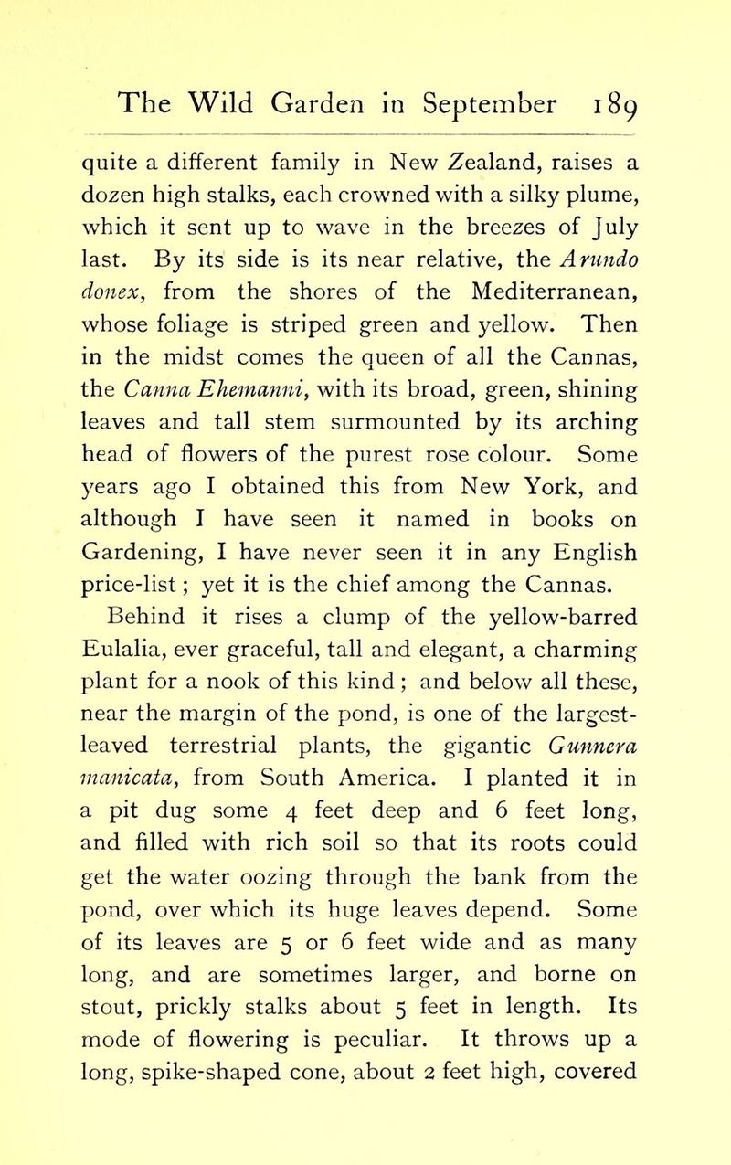 quite a different family in New Zealand, raises a dozen high stalks, each crowned with a silky plume, which it sent up to wave in the breezes of July last. By its side is its near relative, the Anmdo donex, from the shores of the Mediterranean, whose foliage is striped green and yellow. Then in the midst comes the queen of all the Cannas, the Canna Ehemanni, with its broad, green, shining leaves and tall stem surmounted by its arching head of flowers of the purest rose colour. Some years ago I obtained this from New York, and although I have seen it named in books on Gardening, I have never seen it in any English price-list; yet it is the chief among the Cannas. Behind it rises a clump of the yellow-barred Eulalia, ever graceful, tall and elegant, a charming plant for a nook of this kind; and below all these, near the margin of the pond, is one of the largest- leaved terrestrial plants, the gigantic Gunnera manicata, from South America. I planted it in a pit dug some 4 feet deep and 6 feet long, and filled with rich soil so that its roots could get the water oozing through the bank from the pond, over which its huge leaves depend. Some of its leaves are 5 or 6 feet wide and as many long, and are sometimes larger, and borne on stout, prickly stalks about 5 feet in length. Its mode of flowering is peculiar. It throws up a long, spike-shaped cone, about 2 feet high, covered