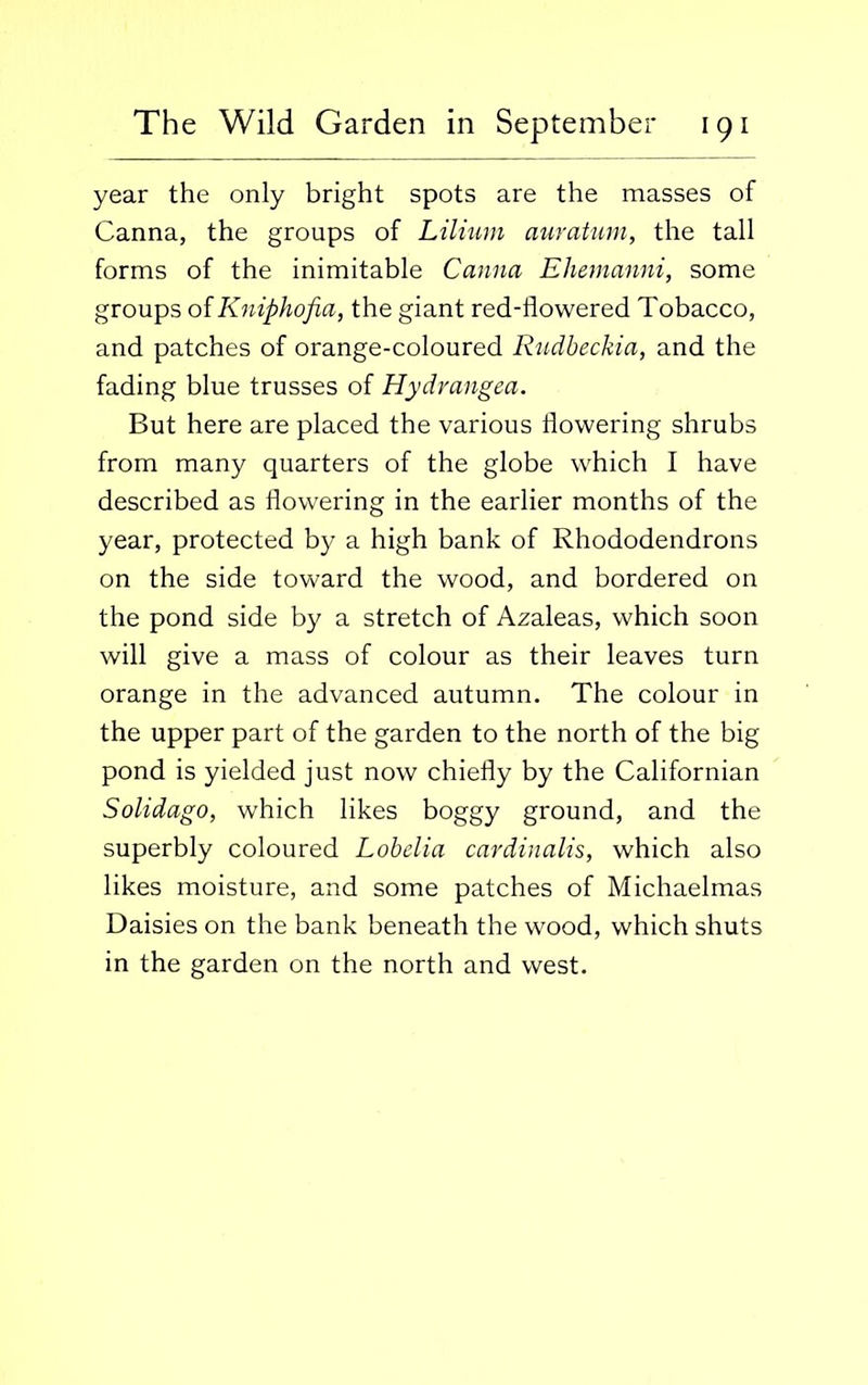 year the only bright spots are the masses of Canna, the groups of Lilium auratum, the tall forms of the inimitable Canna Ehemanni, some groups of Kniphofia, the giant red-flowered Tobacco, and patches of orange-coloured Rudbeckia, and the fading blue trusses of Hydrangea. But here are placed the various flowering shrubs from many quarters of the globe which I have described as flowering in the earlier months of the year, protected by a high bank of Rhododendrons on the side toward the wood, and bordered on the pond side by a stretch of Azaleas, which soon will give a mass of colour as their leaves turn orange in the advanced autumn. The colour in the upper part of the garden to the north of the big pond is yielded just now chiefly by the Californian Solidago, which likes boggy ground, and the superbly coloured Lobelia cardinalis, which also likes moisture, and some patches of Michaelmas Daisies on the bank beneath the wood, which shuts in the garden on the north and west.