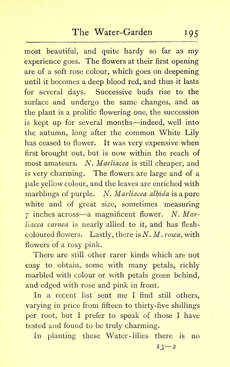 *95 most beautiful, and quite hardy so far as my experience goes. The flowers at their first opening are of a soft rose colour, which goes on deepening until it becomes a deep blood red, and thus it lasts for several days. Successive buds rise to the surface and undergo the same changes, and as the plant is a prolific flowering one, the succession is kept up for several months—indeed, well into the autumn, long after the common White Lily has ceased to flower. It was very expensive when first brought out, but is now within the reach of most amateurs. N. Marliacea is still cheaper, and is very charming. The flowers are large and of a pale yellow colour, and the leaves are enriched with marblings of purple. N. Marliacea albida is a pure white and of great size, sometimes measuring 7 inches across—a magnificent flower. N. Mar- liacea carnea is nearly allied to it, and has flesh- coloured flowers. Lastly, there is N. M. rosea, with flowers of a rosy pink. There are still other rarer kinds which are not easy to obtain, some with many petals, richly marbled with colour or with petals green behind, and edged with rose and pink in front. In a recent list sent me I find still others, varying in price from fifteen to thirty-five shillings per root, but I prefer to speak of those I have tested and found to be truly charming. In planting these Water-lilies there is no 13—2