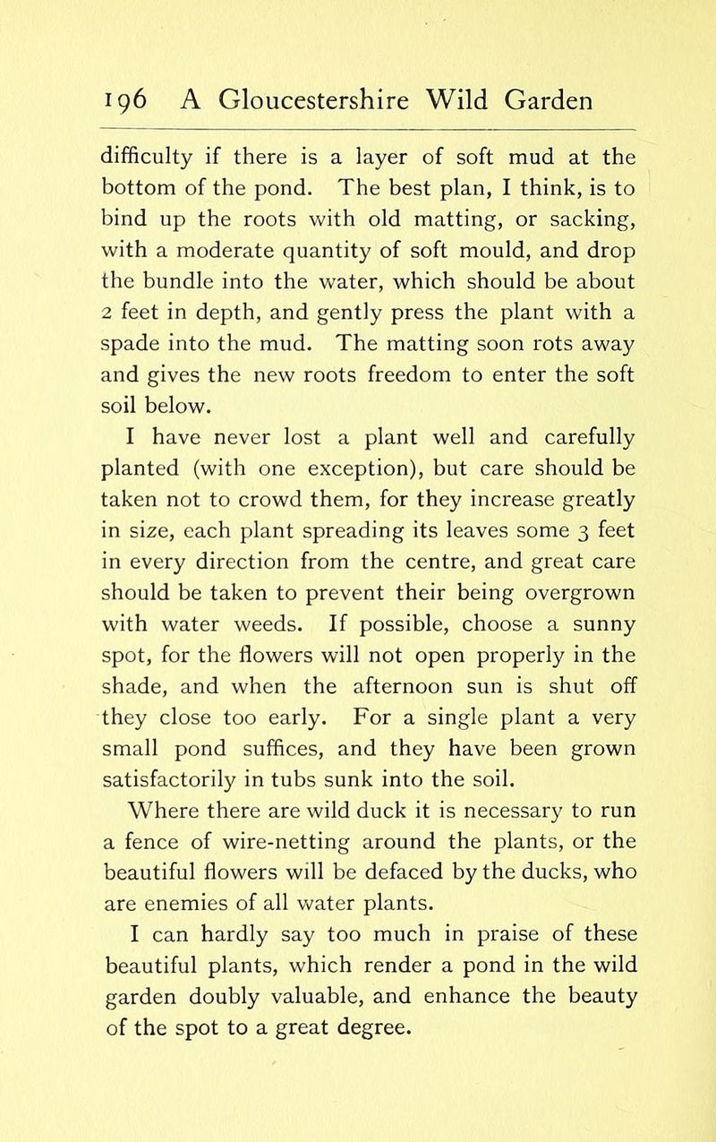difficulty if there is a layer of soft mud at the bottom of the pond. The best plan, I think, is to bind up the roots with old matting, or sacking, with a moderate quantity of soft mould, and drop the bundle into the water, which should be about 2 feet in depth, and gently press the plant with a spade into the mud. The matting soon rots away and gives the new roots freedom to enter the soft soil below. I have never lost a plant well and carefully planted (with one exception), but care should be taken not to crowd them, for they increase greatly in size, each plant spreading its leaves some 3 feet in every direction from the centre, and great care should be taken to prevent their being overgrown with water weeds. If possible, choose a sunny spot, for the flowers will not open properly in the shade, and when the afternoon sun is shut off they close too early. For a single plant a very small pond suffices, and they have been grown satisfactorily in tubs sunk into the soil. Where there are wild duck it is necessary to run a fence of wire-netting around the plants, or the beautiful flowers will be defaced by the ducks, who are enemies of all water plants. I can hardly say too much in praise of these beautiful plants, which render a pond in the wild garden doubly valuable, and enhance the beauty of the spot to a great degree.