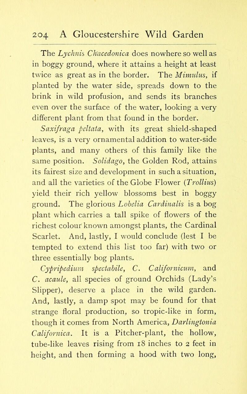 The Lychnis Ch'acedonica does nowhere so well as in boggy ground, where it attains a height at least twice as great as in the border. The Mimulus, if planted by the water side, spreads down to the brink in wild profusion, and sends its branches even over the surface of the water, looking a very different plant from that found in the border. Saxifraga pcltata, with its great shield-shaped leaves, is a very ornamental addition to water-side plants, and many others of this family like the same position. Solidago, the Golden Rod, attains its fairest size and development in such a situation, and all the varieties of the Globe Flower ('Trollius) yield their rich yellow blossoms best in boggy ground. The glorious Lobelia Cardinalis is a bog plant which carries a tall spike of flowers of the richest colour known amongst plants, the Cardinal Scarlet. And, lastly, I would conclude (lest I be tempted to extend this list too far) with two or three essentially bog plants. Cypripedium spectabile, C. Califovnicum, and C. acaule, all species of ground Orchids (Lady’s Slipper), deserve a place in the wild garden. And, lastly, a damp spot may be found for that strange floral production, so tropic-like in form, though it comes from North America, Darlingtonia Californica. It is a Pitcher-plant, the hollow, tube-like leaves rising from 18 inches to 2 feet in height, and then forming a hood with two long,