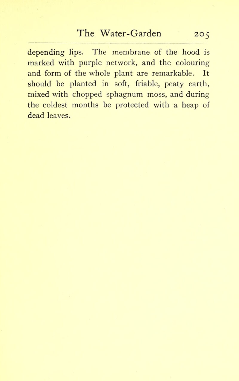 depending lips. The membrane of the hood is marked with purple network, and the colouring and form of the whole plant are remarkable. It should be planted in soft, friable, peaty earth, mixed with chopped sphagnum moss, and during the coldest months be protected with a heap of dead leaves.