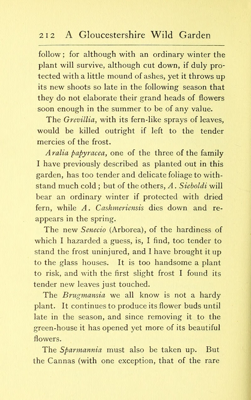 follow; for although with an ordinary winter the plant will survive, although cut down, if duly pro- tected with a little mound of ashes, yet it throws up its new shoots so late in the following season that they do not elaborate their grand heads of flowers soon enough in the summer to be of any value. The Grevillia, with its ferndike sprays of leaves, would be killed outright if left to the tender mercies of the frost. Aralia papyracea, one of the three of the family I have previously described as planted out in this garden, has too tender and delicate foliage to with- stand much cold ; but of the others, A. Sieboldi will bear an ordinary winter if protected with dried fern, while A. Cashmeriensis dies down and re- appears in the spring. The new Senecio (Arborea), of the hardiness of which I hazarded a guess, is, I find, too tender to stand the frost uninjured, and 1 have brought it up to the glass houses. It is too handsome a plant to risk, and with the first slight frost I found its tender new leaves just touched. The Brugmansia we all know is not a hardy plant. It continues to produce its flower buds until late in the season, and since removing it to the green-house it has opened yet more of its beautiful flowers. The Sparmannia must also be taken up. But the Cannas (with one exception, that of the rare