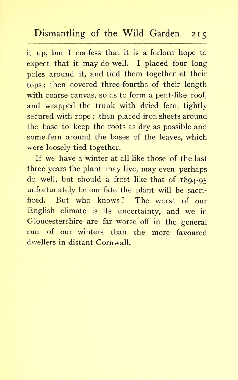 it up, but I confess that it is a forlorn hope to expect that it may do well. I placed four long poles around it, and tied them together at their tops; then covered three-fourths of their length with coarse canvas, so as to form a pent-like roof, and wrapped the trunk with dried fern, tightly secured with rope ; then placed iron sheets around the base to keep the roots as dry as possible and some fern around the bases of the leaves, which were loosely tied together. If we have a winter at all like those of the last three years the plant may live, may even perhaps do well, but should a frost like that of 1894-95 unfortunately be our fate the plant will be sacri- ficed. But who knows ? The worst of our English climate is its uncertainty, and we in Gloucestershire are far worse off in the general run of our winters than the more favoured dwellers in distant Cornwall.