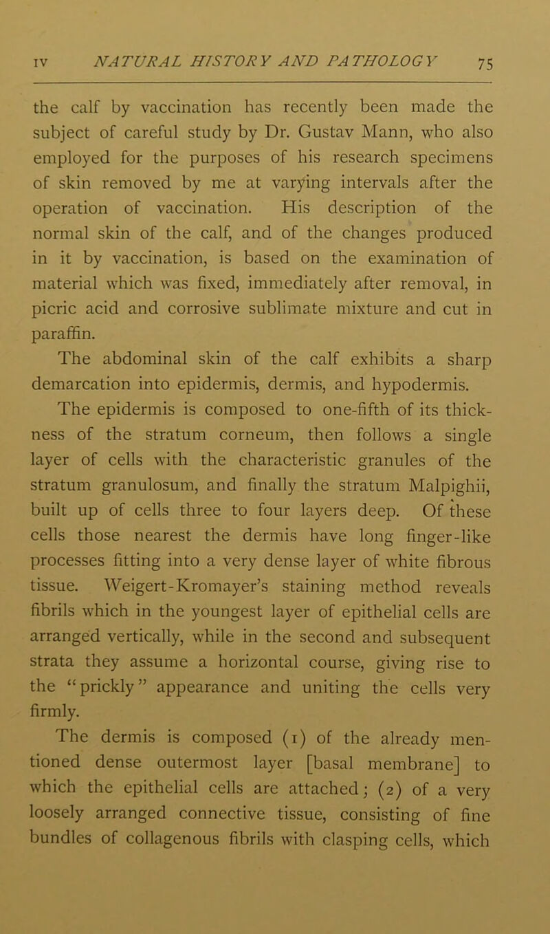 the calf by vaccination has recently been made the subject of careful study by Dr. Gustav Mann, who also employed for the purposes of his research specimens of skin removed by me at varying intervals after the operation of vaccination. His description of the normal skin of the calf, and of the changes produced in it by vaccination, is based on the examination of material which was fixed, immediately after removal, in picric acid and corrosive sublimate mixture and cut in paraffin. The abdominal skin of the calf exhibits a sharp demarcation into epidermis, dermis, and hypodermis. The epidermis is composed to one-fifth of its thick- ness of the stratum corneum, then follows a single layer of cells with the characteristic granules of the stratum granulosum, and finally the stratum Malpighii, built up of cells three to four layers deep. Of these cells those nearest the dermis have long finger-like processes fitting into a very dense layer of white fibrous tissue. Weigert-Kromayer’s staining method reveals fibrils which in the youngest layer of epithelial cells are arranged vertically, while in the second and subsequent strata they assume a horizontal course, giving rise to the “prickly” appearance and uniting the cells very firmly. The dermis is composed (i) of the already men- tioned dense outermost layer [basal membrane] to which the epithelial cells are attached; (2) of a very loosely arranged connective tissue, consisting of fine bundles of collagenous fibrils with clasping cells, which