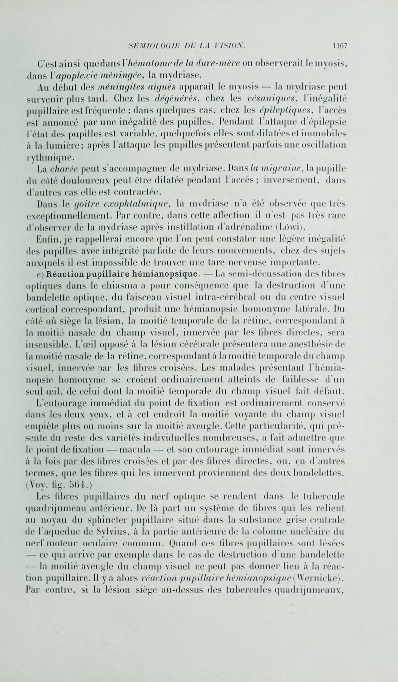 C’est ainsi que dans l'hématome de la dure-mère on observerait le myosis, dans Yapoplexie méningée, la mydriase. Au début des méningites aiguës apparaît le myosis — la mydriase peu! survenir plus tard. Chez les dégénérés, chez les vésaniques, l'inégalité pupillaire est fréquente ; dans quelques cas, chez les épileptiques, l 'accès est annoncé par une inégalité des pupilles. Pendant l’attaque d’épilepsie l’état des pupilles est variable, quelquefois elles sont dilatées et immobiles à la lumière; après l’attaque les pupilles présentent parfois une oscillation rythmique. La chorée peut s’accompagner de mydriase. Dans la migraine, la pupille du côté douloureux peut être dilatée pendant l'accès; inversement, dans d'autres cas elle est contractée. Dans le goitre exophtalmique, la mydriase n'a été observée que très exceptionnellement. Par contre, dans cette affection il n’est pas très rare d’observer de la mydriase après instillation d’adrénaline (Lôwi). Enfui, je rappellerai encore que I on peut constater une légère inégalité des pupilles avec intégrité parfaite de leurs mouvements, chez des sujets auxquels il est impossible de trouver une tare nerveuse importante. e) Réaction pupillaire hémianopsique. — La semi-décussation dos libres optiques dans le chiasma a pour conséquence que la destruction d une bandelette optique, du faisceau visuel intra-cérébral ou du centre visuel cortical correspondant, produit une hémianopsie homonyme latérale. Du côté où siège la lésion, la moitié temporale de la rétine, correspondant à la moitié nasale du champ visuel, innervée par les libres directes, sera insensible. L'œil opposé à la lésion cérébrale présentera une anesthésie de la moitié nasale de la rétine, correspondant à la moitié temporale du champ visuel, innervée par les libres croisées. Les malades présentant l'hémia- nopsie homonyme se croient ordinairement atteints de faiblesse d'un seul œil. de celui dont la moitié temporale du champ visuel fait défaut. L’entourage immédiat du point de fixation est ordinairement conservé dans les deux yeux, et à cet endroit la moitié voyante du champ visuel empiète plus ou moins sur la moitié aveugle. Cette particularité, qui pré- sente du reste des variétés individuelles nombreuses, a fait admettre que le point de fixation — macula — et son entourage immédiat sont innervés à la fois par des libres croisées et par des libres directes, ou, en d'autres termes, que les libres qui les innervent proviennent des deux bandelettes. (Vov. lig. 564.) Les libres pupillaires du nerf optique se rendent dans le tubercule quadrijumeau antérieur. De là part un système de libres qui les relient au noyau du sphincter pupillaire situé dans la substance grise centrale de f aqueduc de Sylvius, à la partie antérieure de la colonne nucléaire du nerf moteur oculaire commun. Quand ces fibres pupillaires sont lésées — ce qui arrive par exemple dans le cas de destruction d'une bandelette — la moitié aveugle du champ visuel ne peut pas donner lieu à la réac- tion pupillaire.il y a alors réaction pupillaire hémianopsique (Wernicke). Par contre, si la lésion siège au-dessus des tubercules quadrijumeaux,