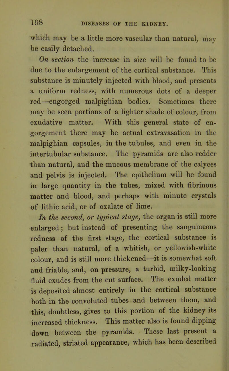 which may be a little more vascular than natural, may- be easily detached. On section the increase in size will be found to be due to the enlargement of the cortical substance. This substance is minutely injected with blood, and presents a uniform redness, with numerous dots of a deeper red—engorged malpighian bodies. Sometimes there may be seen portions of a lighter shade of colour, from exudative matter. With this general state of en- gorgement there may be actual extravasation in the malpighian capsules, in the tubules, and even in the intertubular substance. The pyramids are also redder than natural, and the mucous membrane of the calyces and pelvis is injected. The epithelium will be found in large quantity in the tubes, mixed with fibrinous matter and blood, and perhaps with minute crystals of lithic acid, or of oxalate of lime. In the second, or typical stage, the organ is still more enlarged; but instead of presenting the sanguineous redness of the first stage, the cortical substance is paler than natural, of a whitish, or yellowish-white colour, and is still more thickened—it is somewhat soft and friable, and, on pressure, a turbid, milky-looking fluid exudes from the cut surface. The exuded matter is deposited almost entirely in the cortical substance both in the convoluted tubes and between them, and this, doubtless, gives to this portion of the kidney its increased thickness. This matter also is found dipping down between the pyramids. These last present a radiated, striated appearance, which has been described