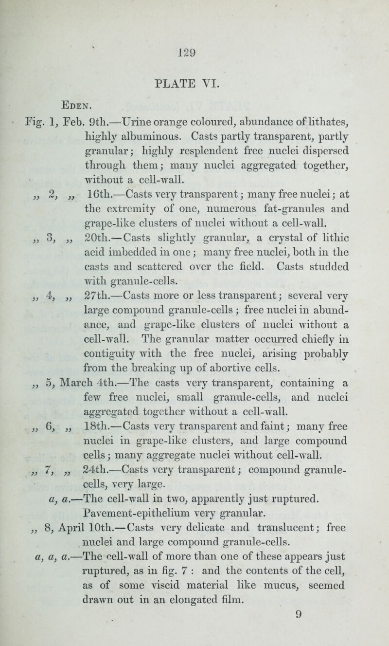 PLATE YI. Eden. Fig. 1, Feb. 9th.—Urine orange coloured, abundance of lithates, highly albuminous. Casts partly transparent, partly granular; highly resplendent free nuclei dispersed through them; many nuclei aggregated together, without a cell-wall. ,, 2, „ 16th.—Casts very transparent; many free nuclei; at the extremity of one, numerous fat-granules and grape-like clusters of nuclei without a cell-wall. ,, 3, ,, 20th.—Casts slightly granular, a crystal of lithic acid imbedded in one; many free nuclei, both in the casts and scattered over the field. Casts studded with granule-cells. ,, 4, „ 27th.—Casts more or less transparent; several very large compound granule-cells ; free nuclei in abund- ance, and grape-like clusters of nuclei without a cell-wall. The granular matter occurred chiefly in contiguity with the free nuclei, arising probably from the breaking up of abortive cells. „ 5, March 4th.—The casts very transparent, containing a few free nuclei, small granule-cells, and nuclei aggregated together without a cell-wall. ,, 6, „ 18th.—Casts very transparent and faint; many free nuclei in grape-like clusters, and large compound cells; many aggregate nuclei without cell-wall. ,, 7, „ 24th.—Casts very transparent; compound granule- cells, very large. «, a.—The cell-wall in two, apparently just ruptured. Pavement-epithelium very granular. ,, 8, April 10th.—Casts very delicate and translucent; free nuclei and large compound granule-cells. a, a, a.—The cell-wall of more than one of these appears just ruptured, as in fig. 7 : and the contents of the cell, as of some viscid material like mucus, seemed drawn out in an elongated film. 9