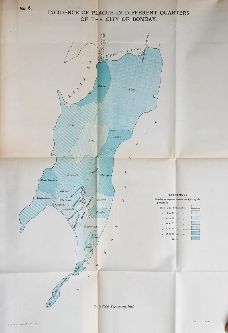 INCIDENCE OF PLAGUE IN DIFFERENT QUARTERS OF THE CITY OF BOMBAY.