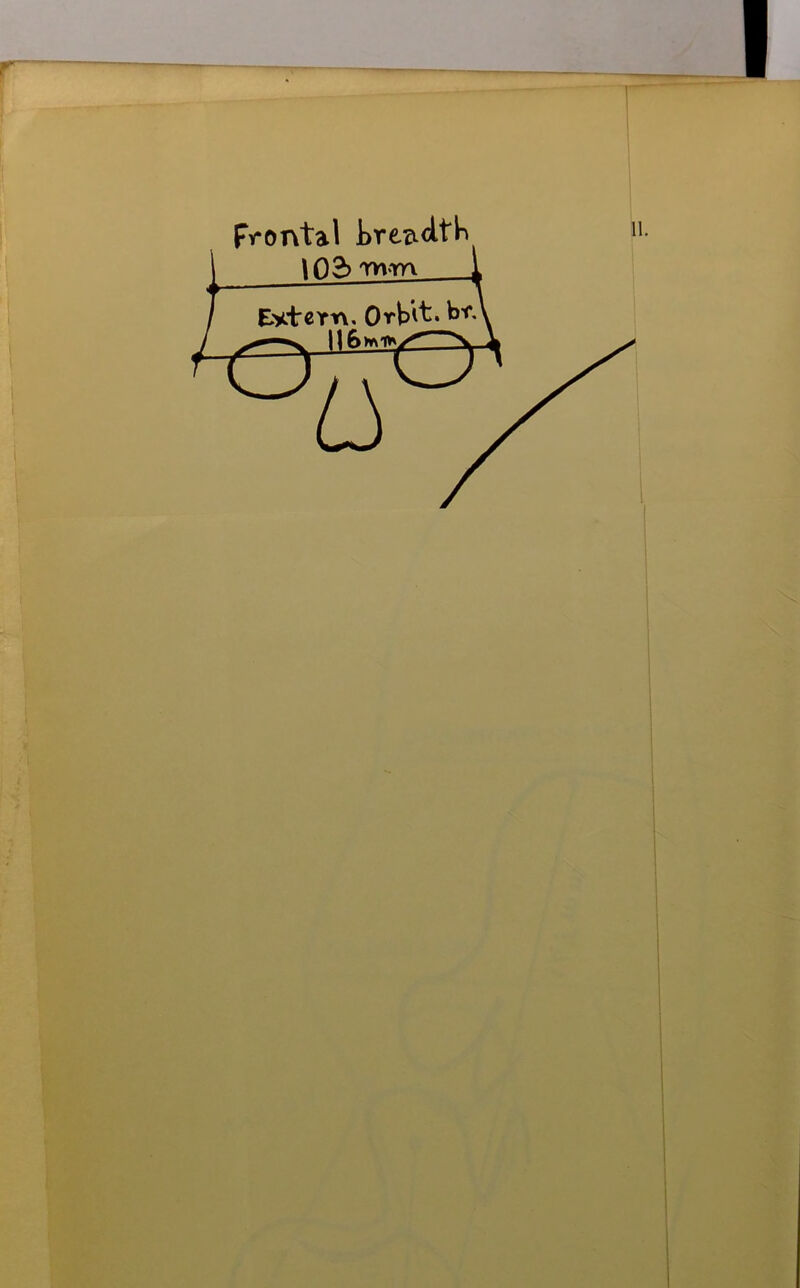 Fvontal mm EytcYtv, Orbit, br.