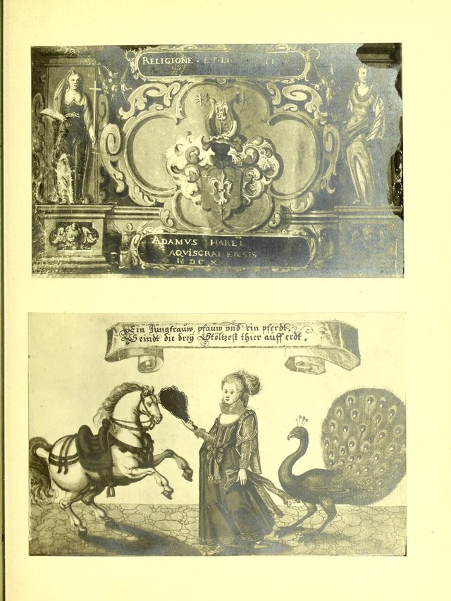 digitised image 3