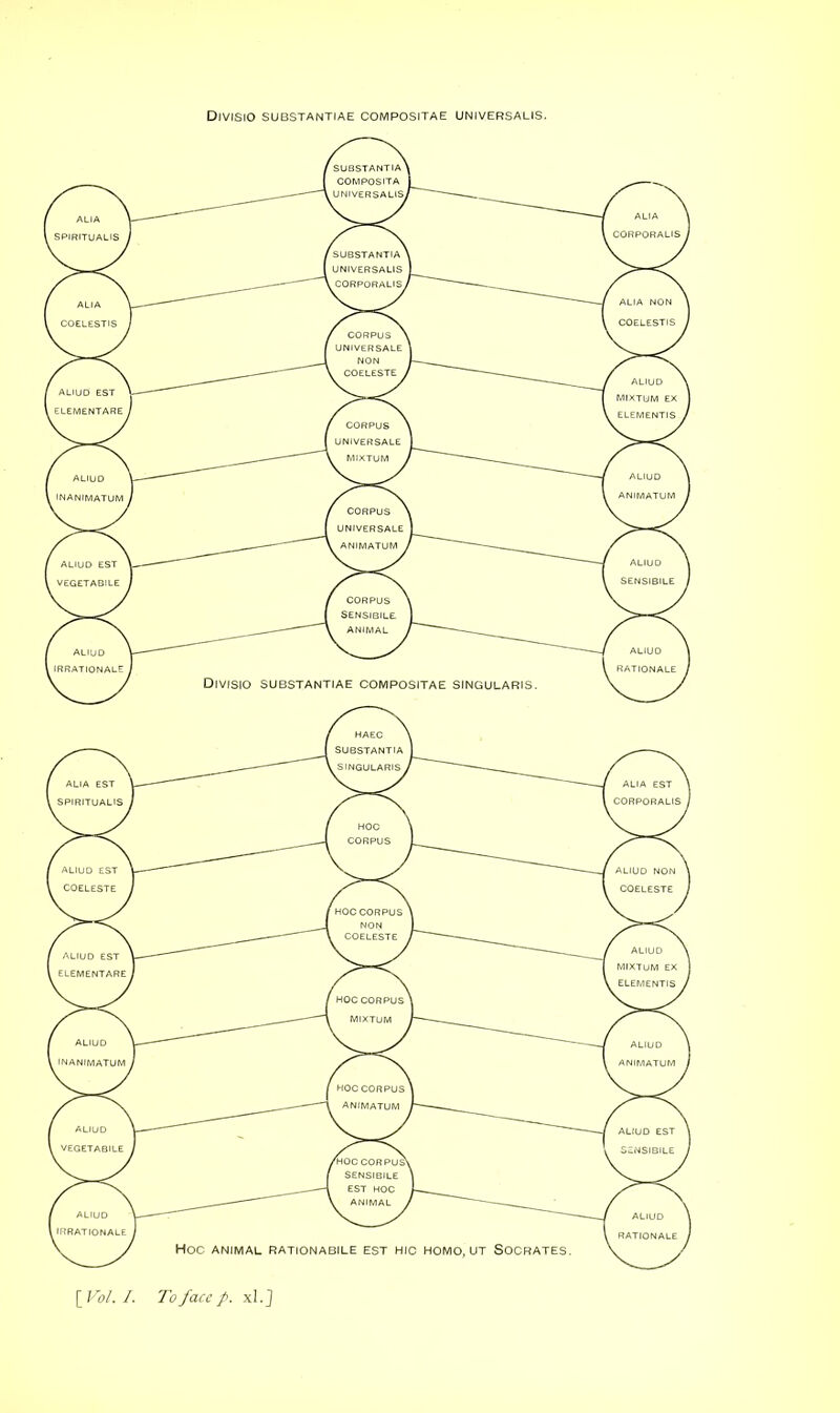 Divisio substantiae compositae universalis. [ Vol. I. To face p. xl.J