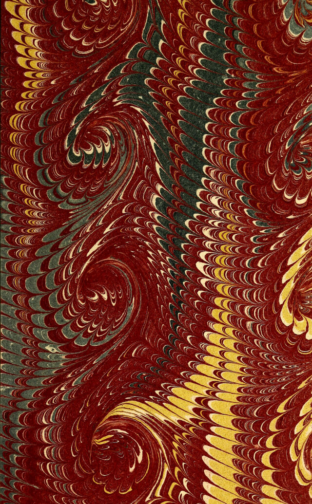 digitised image 3