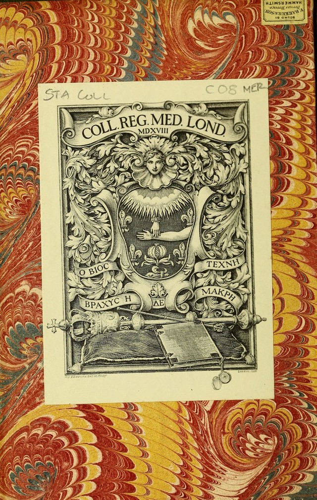 digitised image 2