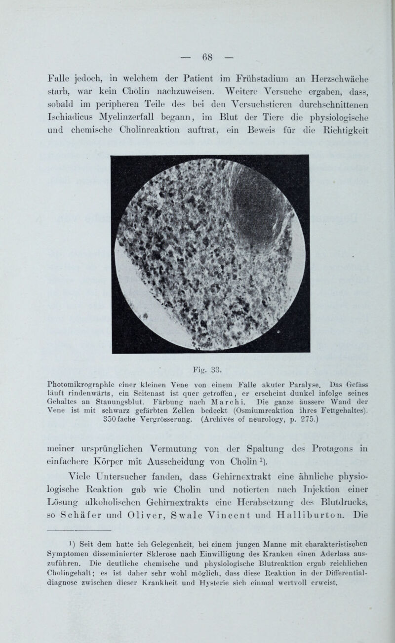 Falle jedoch, in welchem der Patient im Frühstadium an Herzschwäche starb, war kein Cholin nachzuweisen. Weitere Versuche ergaben, dass, sobald im peripheren Teile des bei den Versuchstieren durchschnittenen Ischiadicus Myelinzerfall begann, im Blut der Tiere die physiologische und chemische Cholinreaktion auftrat, ein Beweis für die Richtigkeit Fig. 33. Photomikrographie einer kleinen Vene von einem Falle akuter Paralyse. Das Gefäss läuft rindenwärts, ein Seitenast ist quer getroffen, er erscheint dunkel infolge seines Gehaltes an Stauungsblut. Färbung nach Marchi. Die ganze äussere Wand der Vene ist mit schwarz gefärbten Zellen bedeckt (Osmiumreaktion ihres Fettgehaltes). 350 fache Yergrösserung. (Archives of neurology, p. 275.) meiner ursprünglichen Vermutung von der Spaltung des Protagons in einfachere Körper mit Ausscheidung von Cholinx). Viele Untersucher fanden, dass Gehirnextrakt eine ähnliche physio- logische Reaktion gab wie Cholin und notierten nach Injektion einer Lösung alkoholischen Gehirnextrakts eine Herabsetzung des Blutdrucks, so Schäfer und Oliver, Swale Vincent und Halliburton. Die l) Seit dem hatte ich Gelegenheit, bei einem jungen Manne mit charakteristischen Symptomen disseminierter Sklerose nach Einwilligung des Kranken einen Aderlass aus- zuführen. Die deutliche chemische und physiologische Blutreaktion ergab reichlichen Cholingehalt; es ist daher sehr wohl möglich, dass diese Reaktion in der Differential- diagnose zwischen dieser Krankheit und Hystei’ie sich einmal wertvoll erweist.