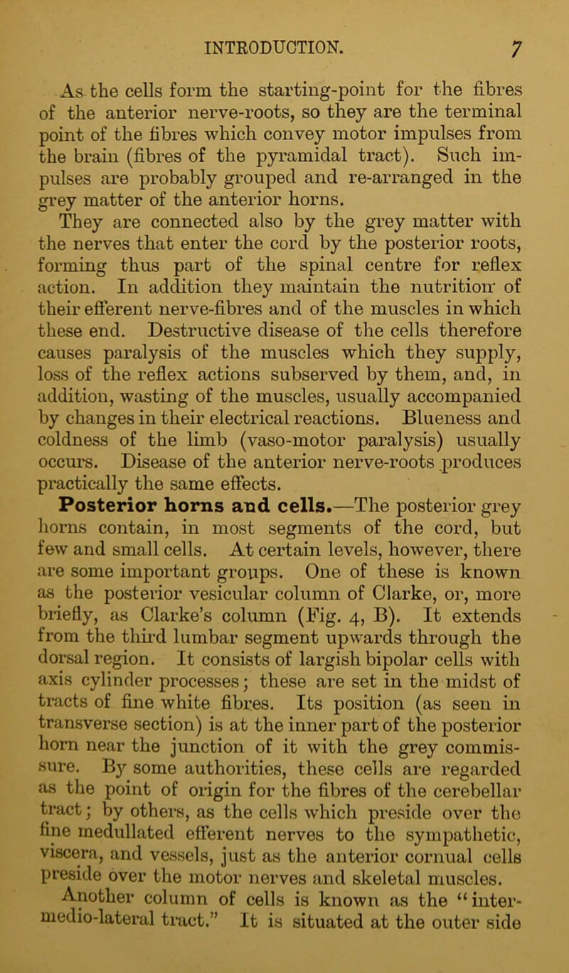 As the cells form the starting-point for the fibres of the anterior nerve-roots, so they are the terminal point of the fibres which convey motor impulses from the brain (fibres of the pyramidal tract). Such im- pulses are probably grouped and re-arranged in the grey matter of the anterior horns. They are connected also by the grey matter with the nerves that enter the cord by the posterior roots, forming thus part of the spinal centre for reflex action. In addition they maintain the nutrition' of their efferent nerve-fibres and of the muscles in which these end. Destructive disease of the cells therefore causes paralysis of the muscles which they supply, loss of the reflex actions subserved by them, and, in addition, wasting of the muscles, usually accompanied by changes in their electrical reactions. Blueness and coldness of the limb (vaso-motor paralysis) usually occurs. Disease of the anterior nerve-roots produces practically the same effects. Posterior horns and cells.—The posterior grey horns contain, in most segments of the cord, but few and small cells. At certain levels, however, there are some important groups. One of these is known as the posterior vesicular column of Clarke, or, more briefly, as Clarke’s column (Big. 4, B). It extends from the third lumbar segment upwards through the dorsal region. It consists of largish bipolar cells with axis cylinder processes; these are set in the midst of tracts of fine white fibres. Its position (as seen in transverse section) is at the inner part of the posterior horn near the junction of it with the grey commis- sure. By some authorities, these cells are regarded as the point of origin for the fibres of the cerebellar tract; by others, as the cells which preside over the fine inedullated efferent nerves to the sympathetic, viscera, and vessels, just as the anterior cornual cells preside over the motor nerves and skeletal muscles. Another column of cells is known as the “inter- medio-lateral tract.” It is situated at the outer side